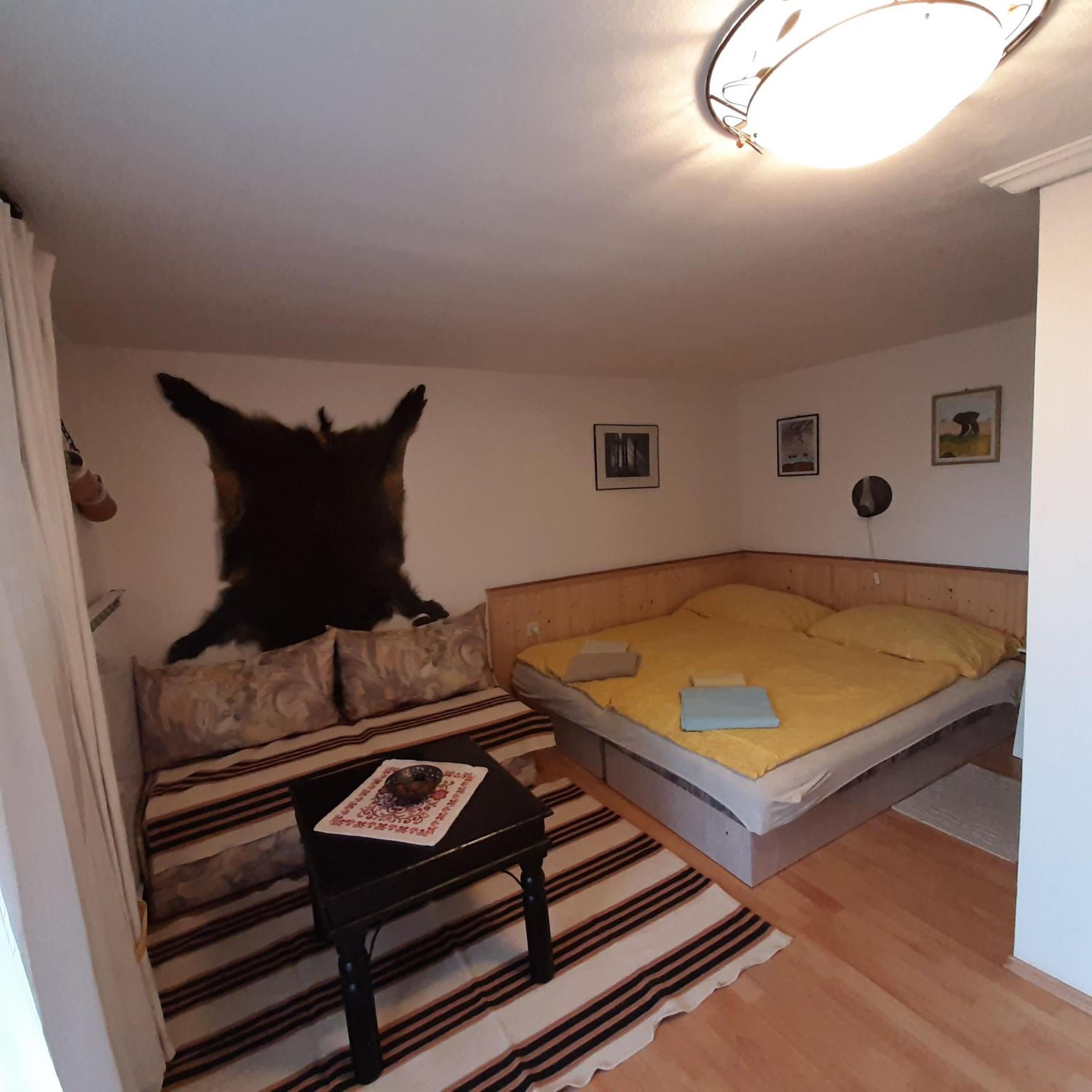 Apartment with Balcony photo 3