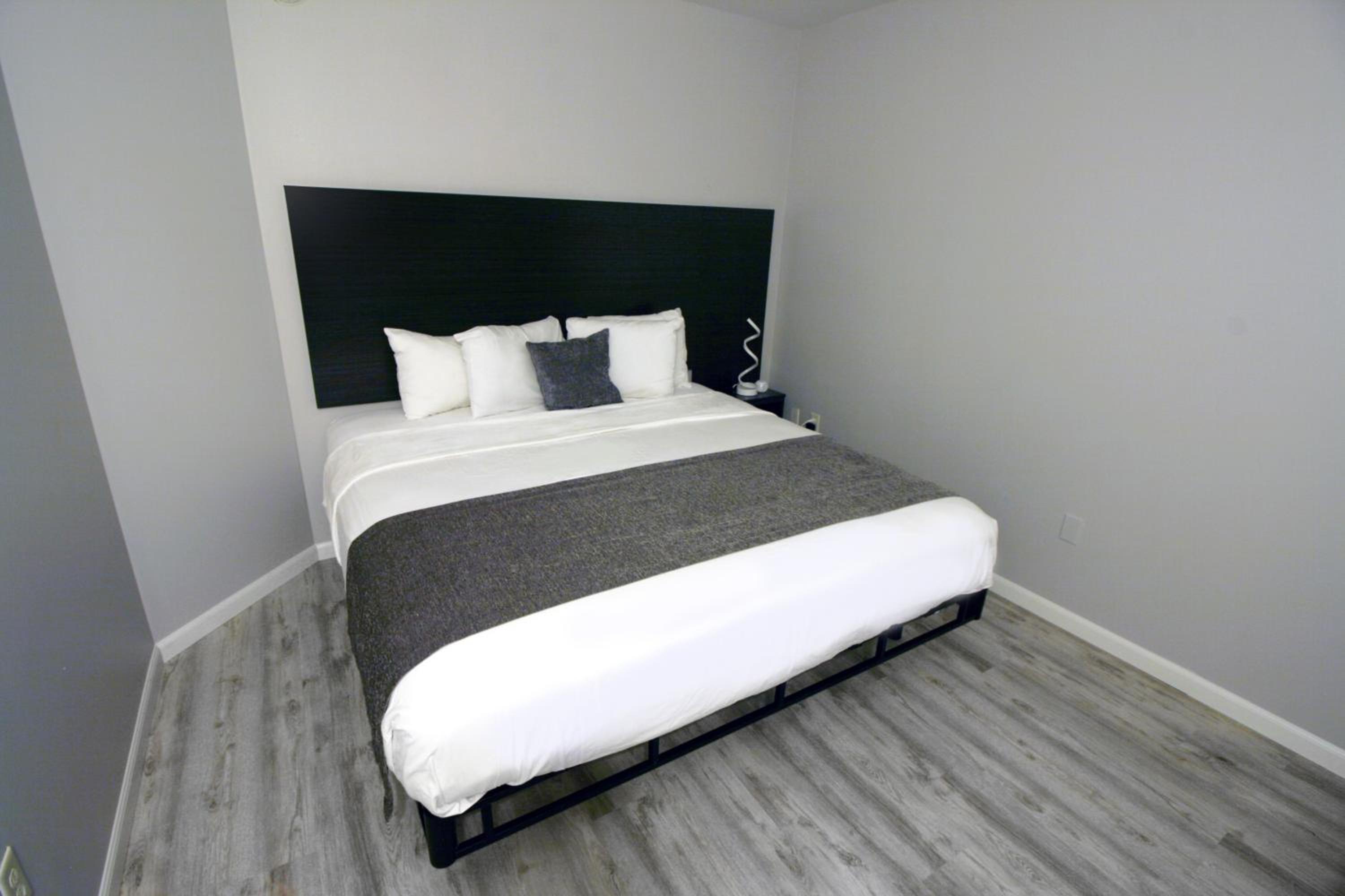 King Suite with Sofabed - Photo 1