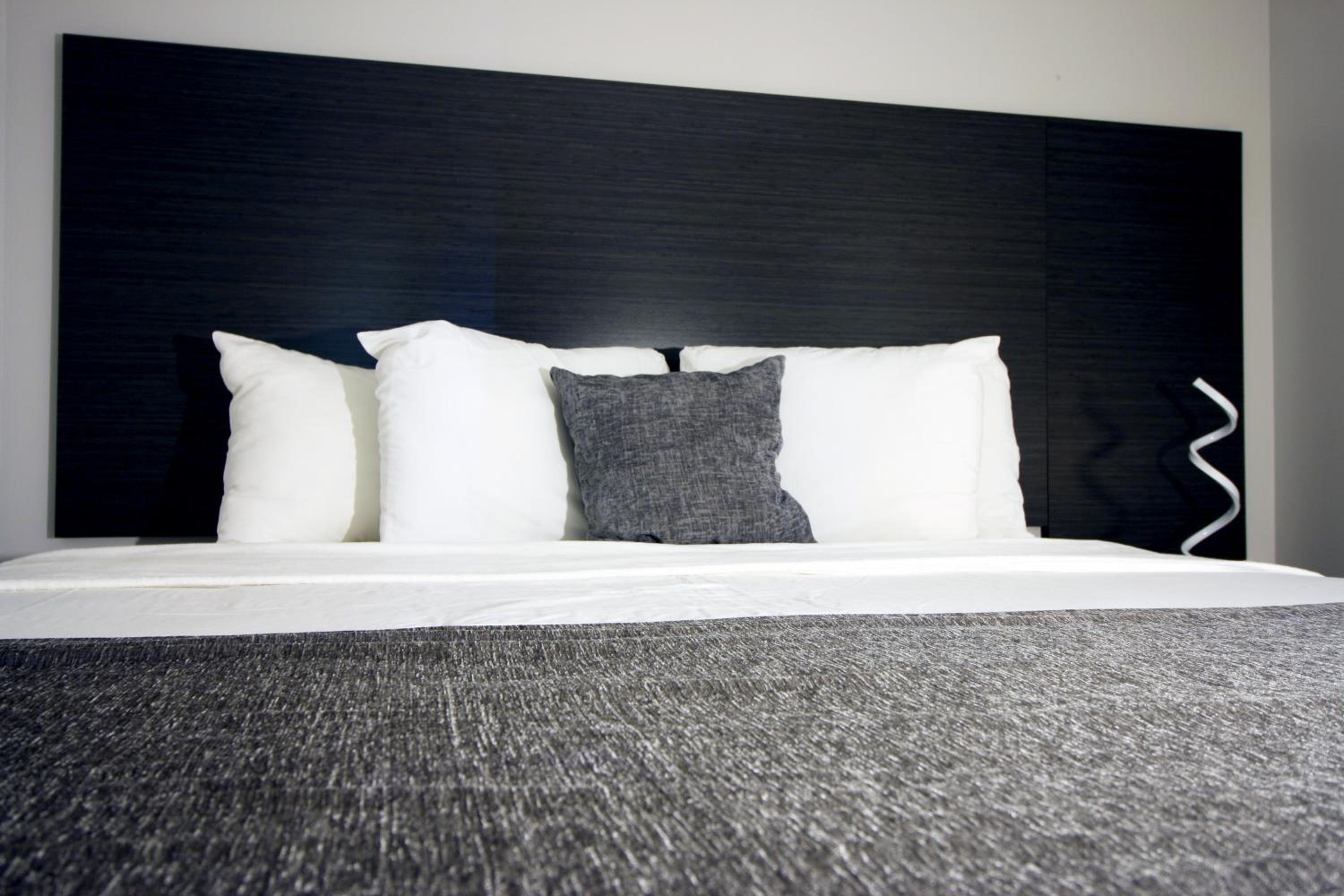 King Suite with Sofabed - Photo 2