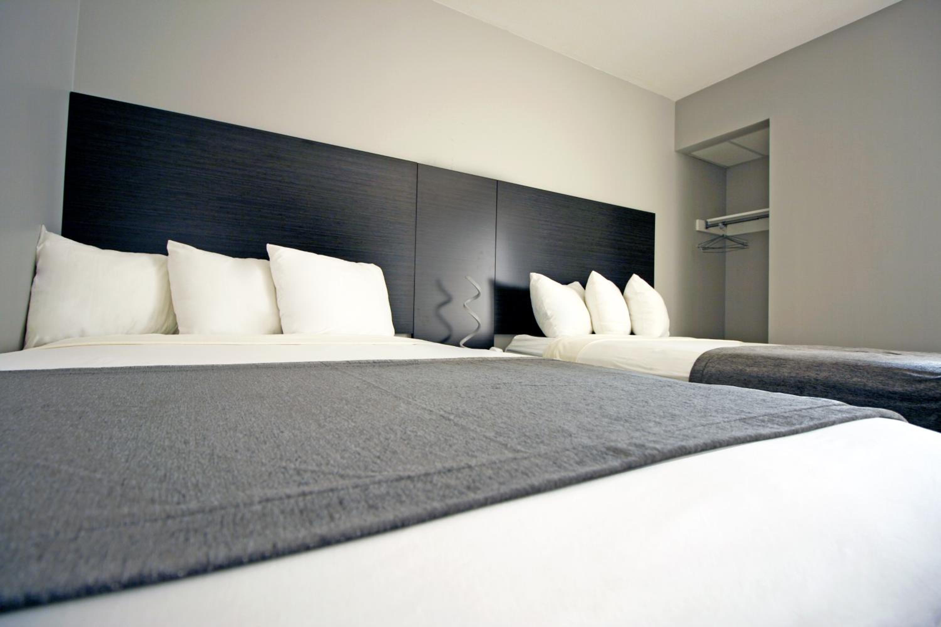 One-Bedroom Suite with Sofa Bed - Photo 1
