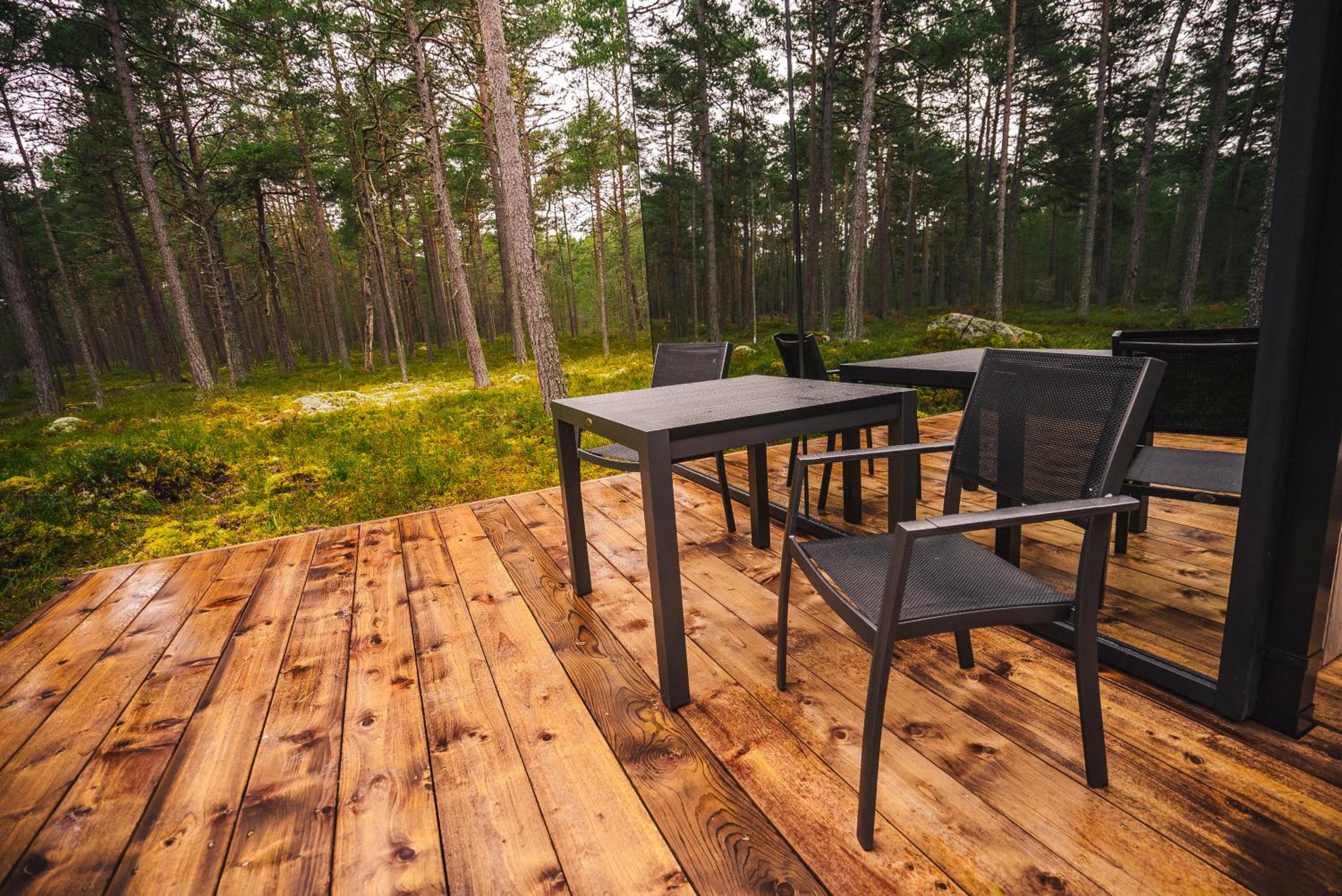 Apartment with Sauna - Photo 9