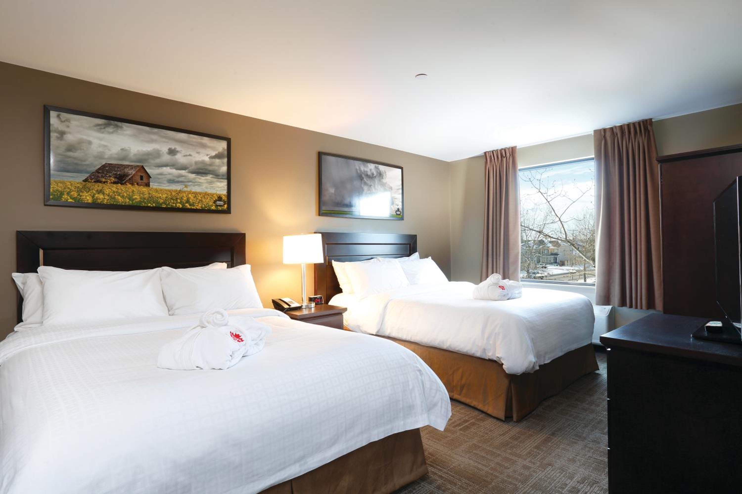 Deluxe Queen Suite