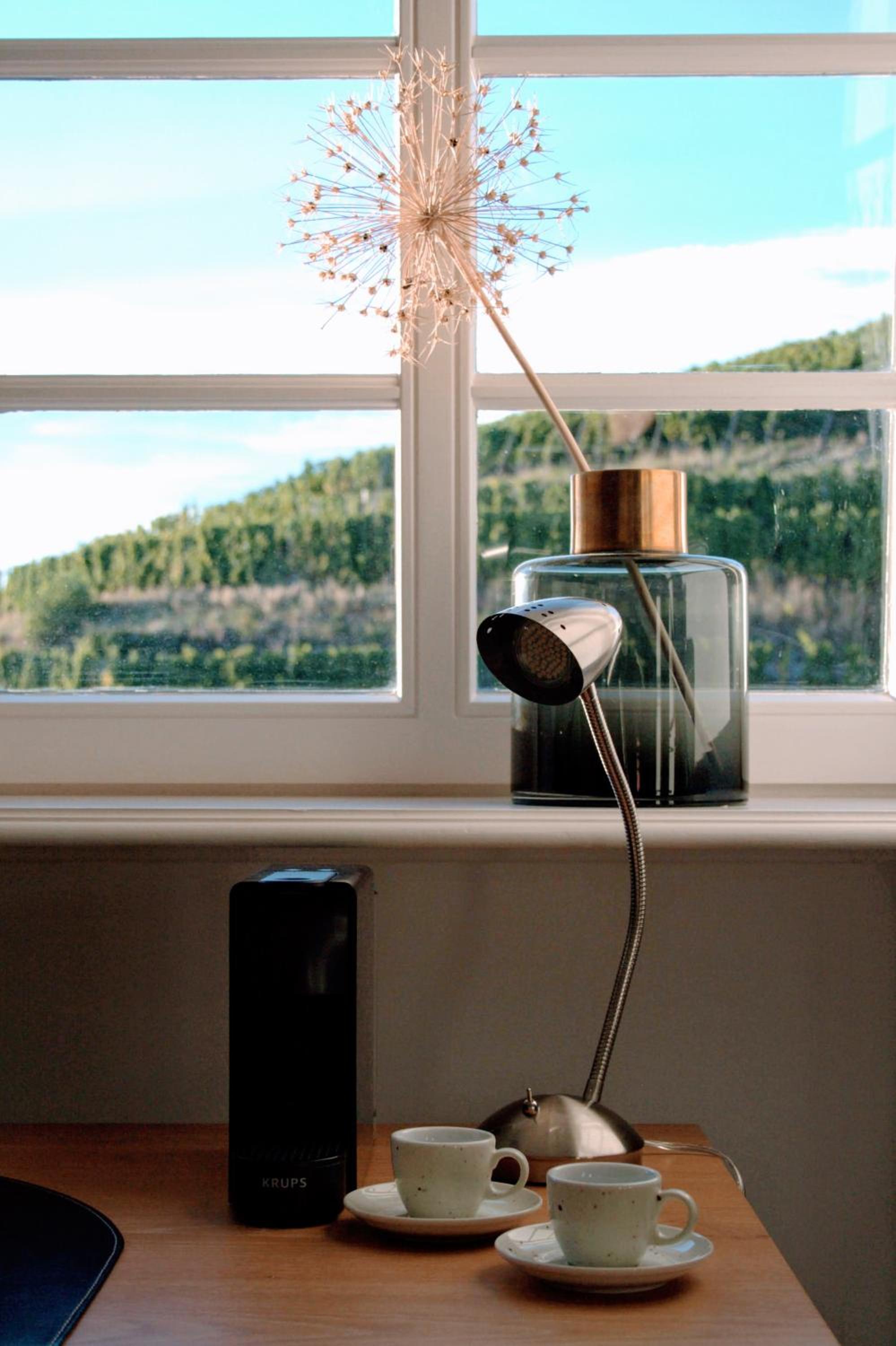 Suite - Photo 1