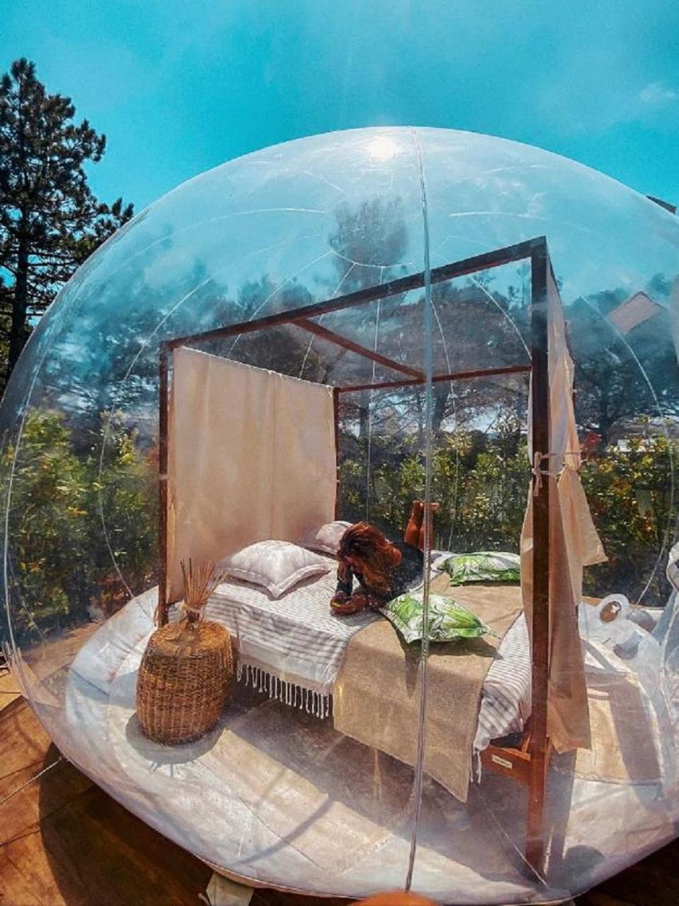 Glamping Tent with Panoramic Bubble  - Photo 13