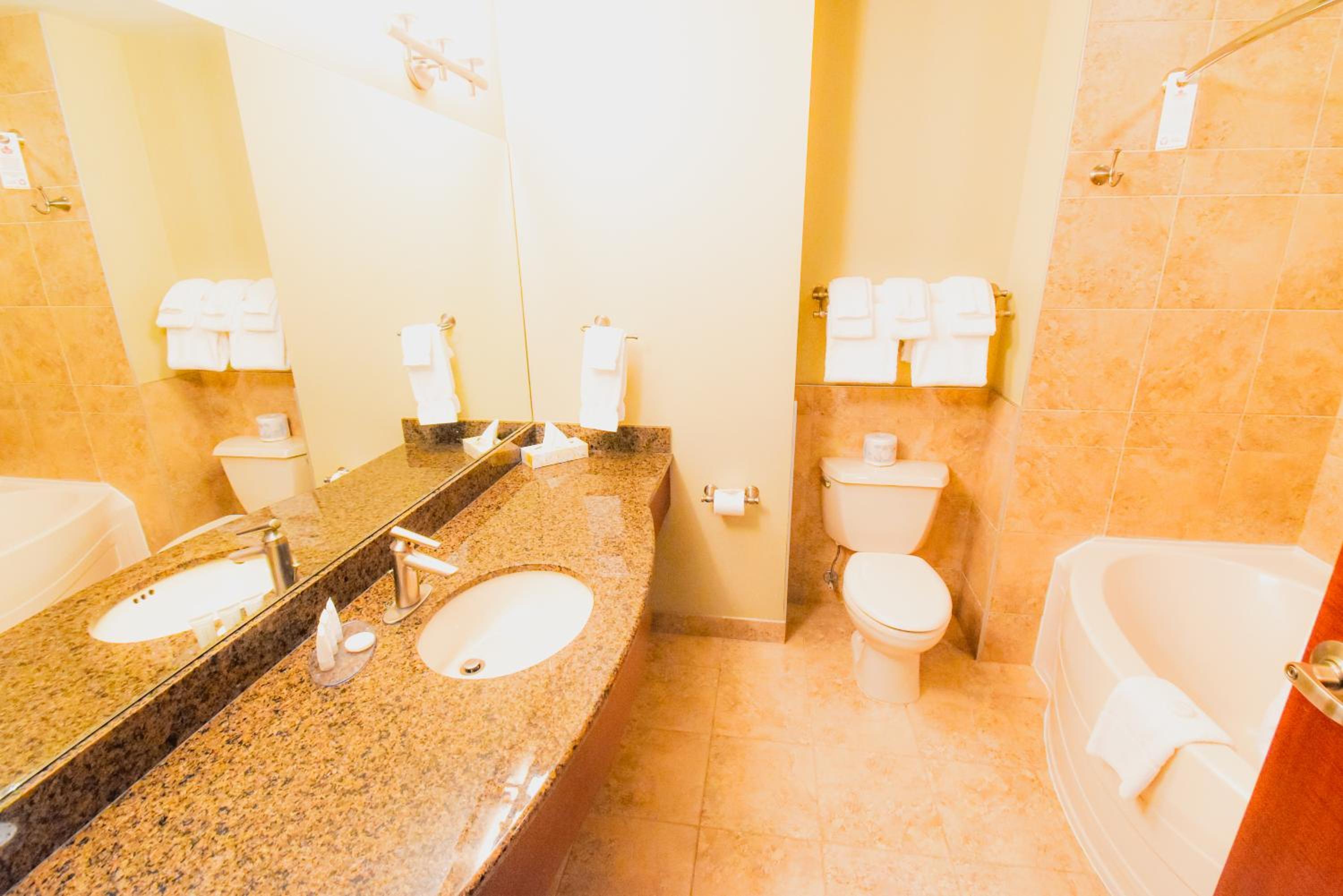 Deluxe King Room - Photo 4
