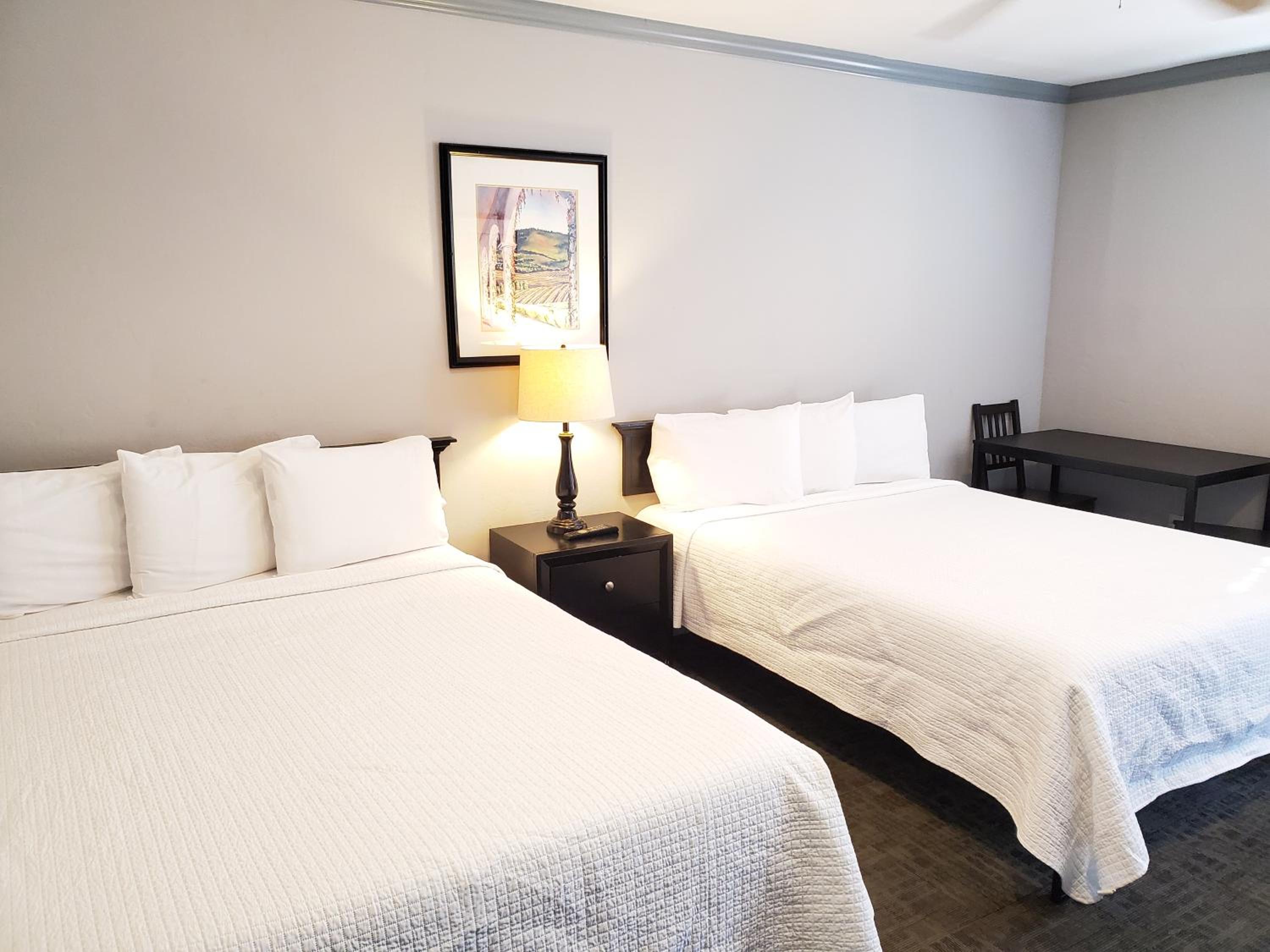 Junior Suite photo 1