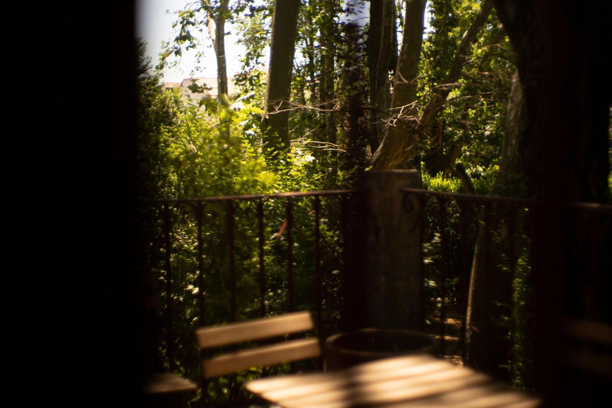 Suite with Garden View photo 2