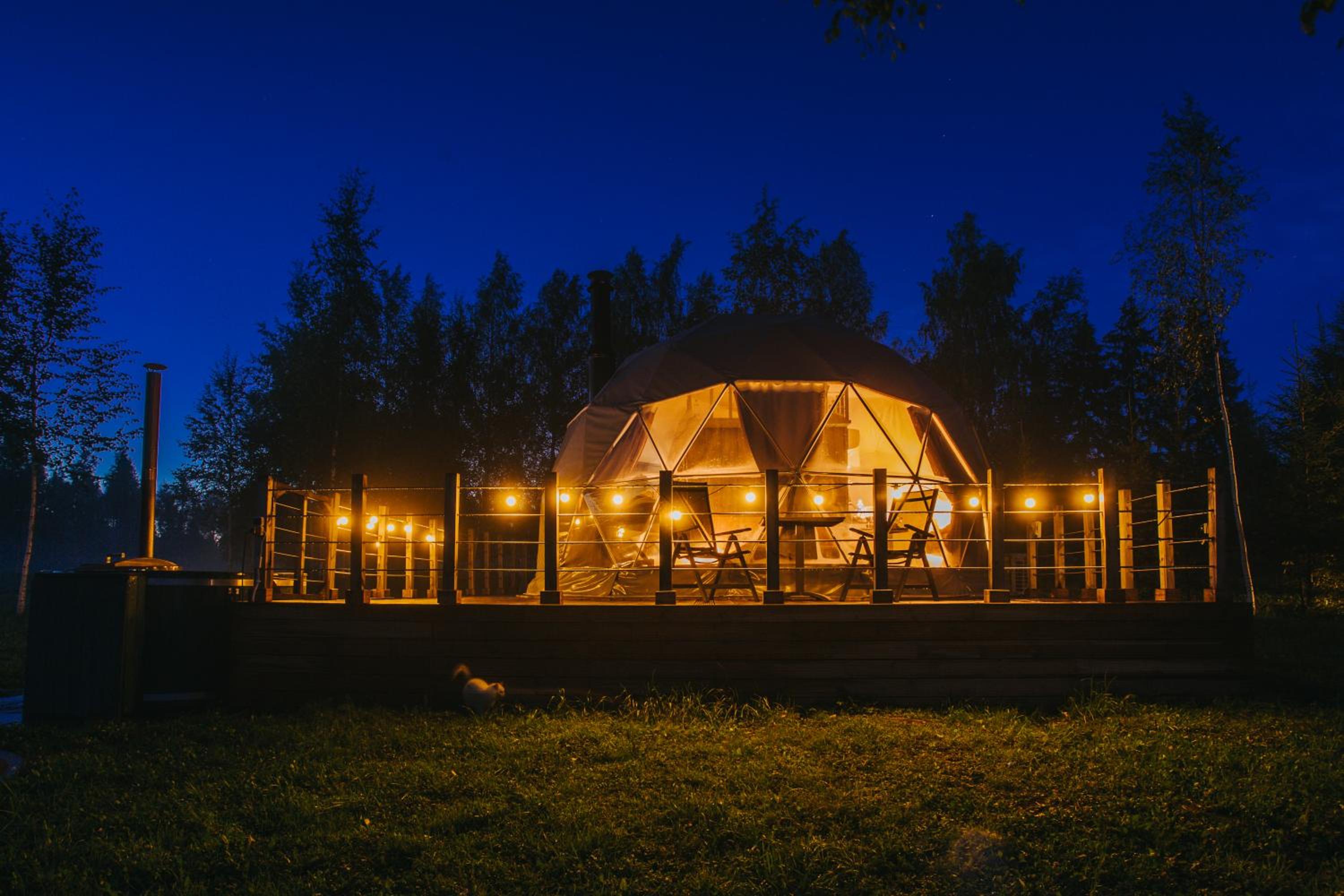 Tent Birches - Photo 23