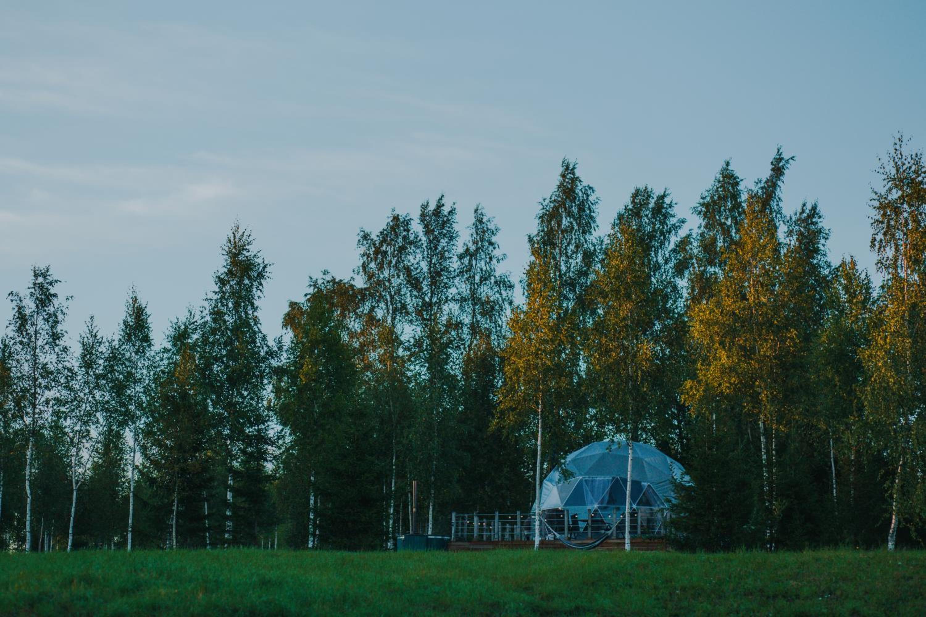 Tent Birches - Photo 16