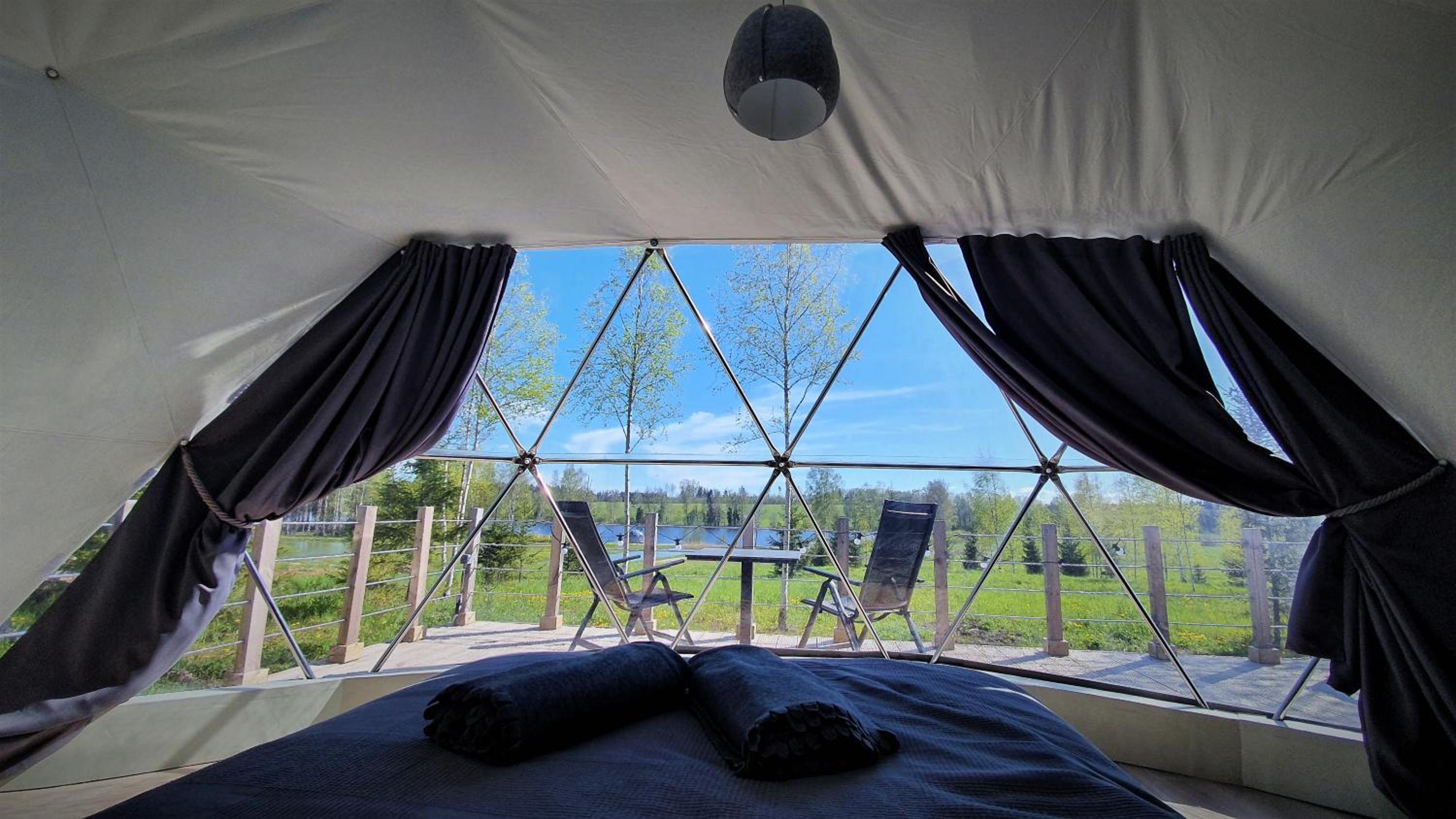 Tent Birches - Photo 2