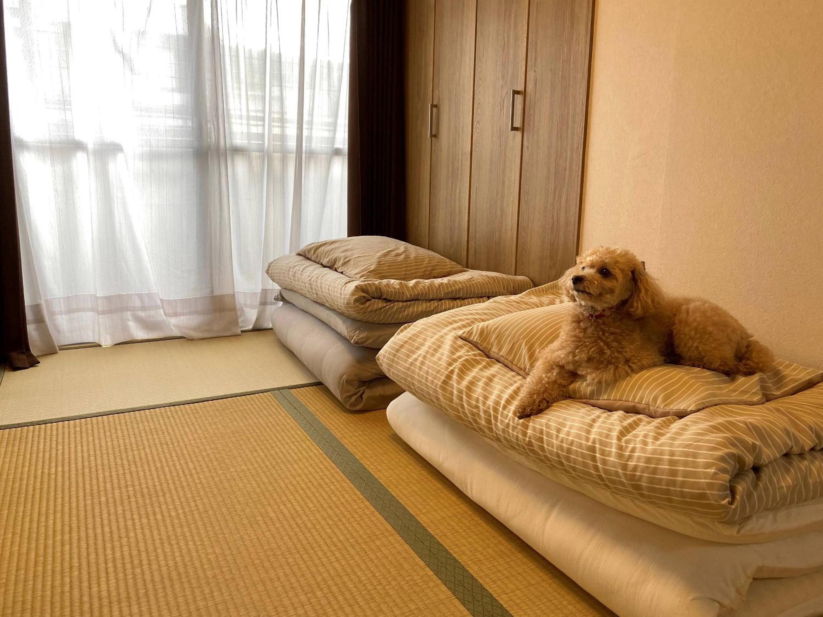 Two-Bedroom Apartment - Photo 1