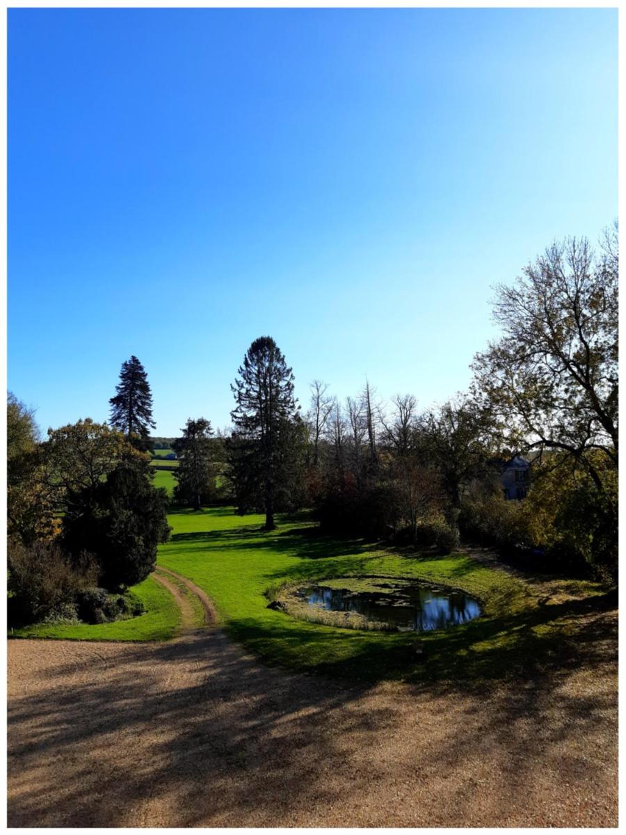 Double Room with Garden View photo 3