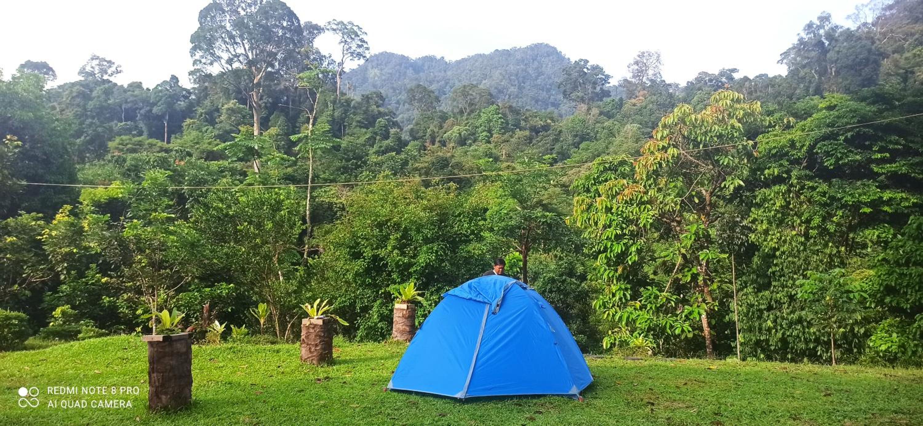 Tent