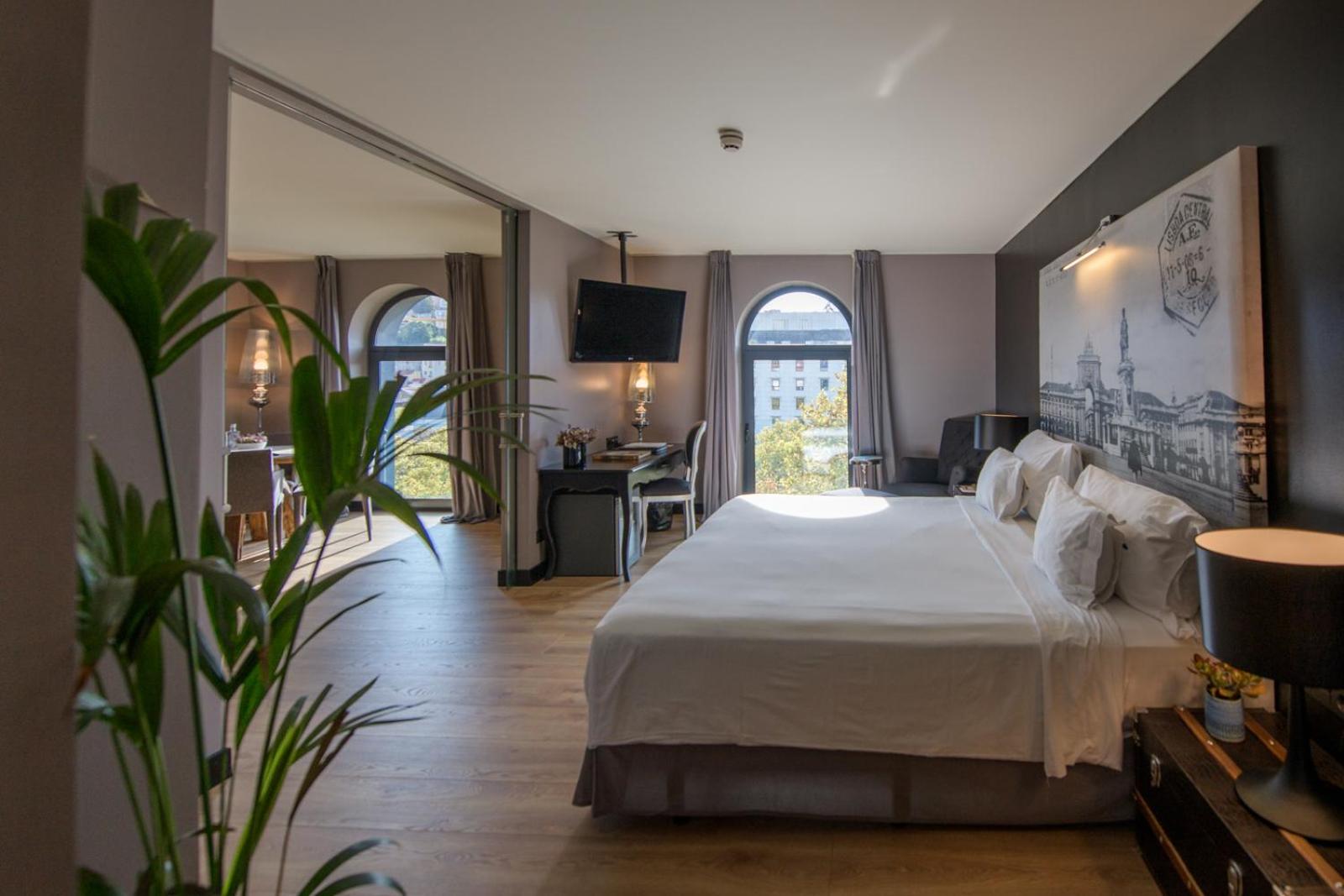 Suite - Photo 1