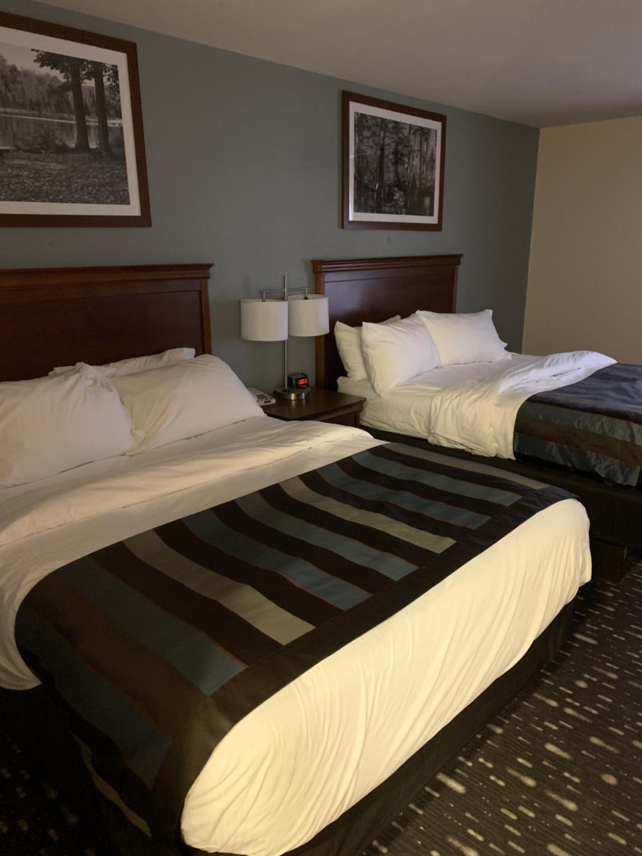 1 King Bed, Studio Superior Suite, Non-Smoking - Photo 1