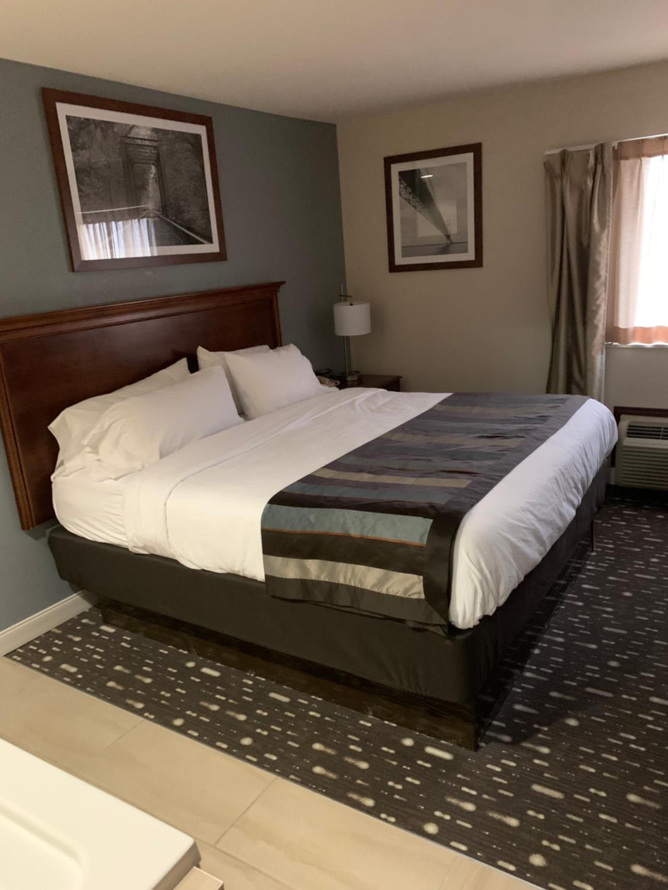 One-Bedroom Presidential Suite - Non-Smoking photo 3