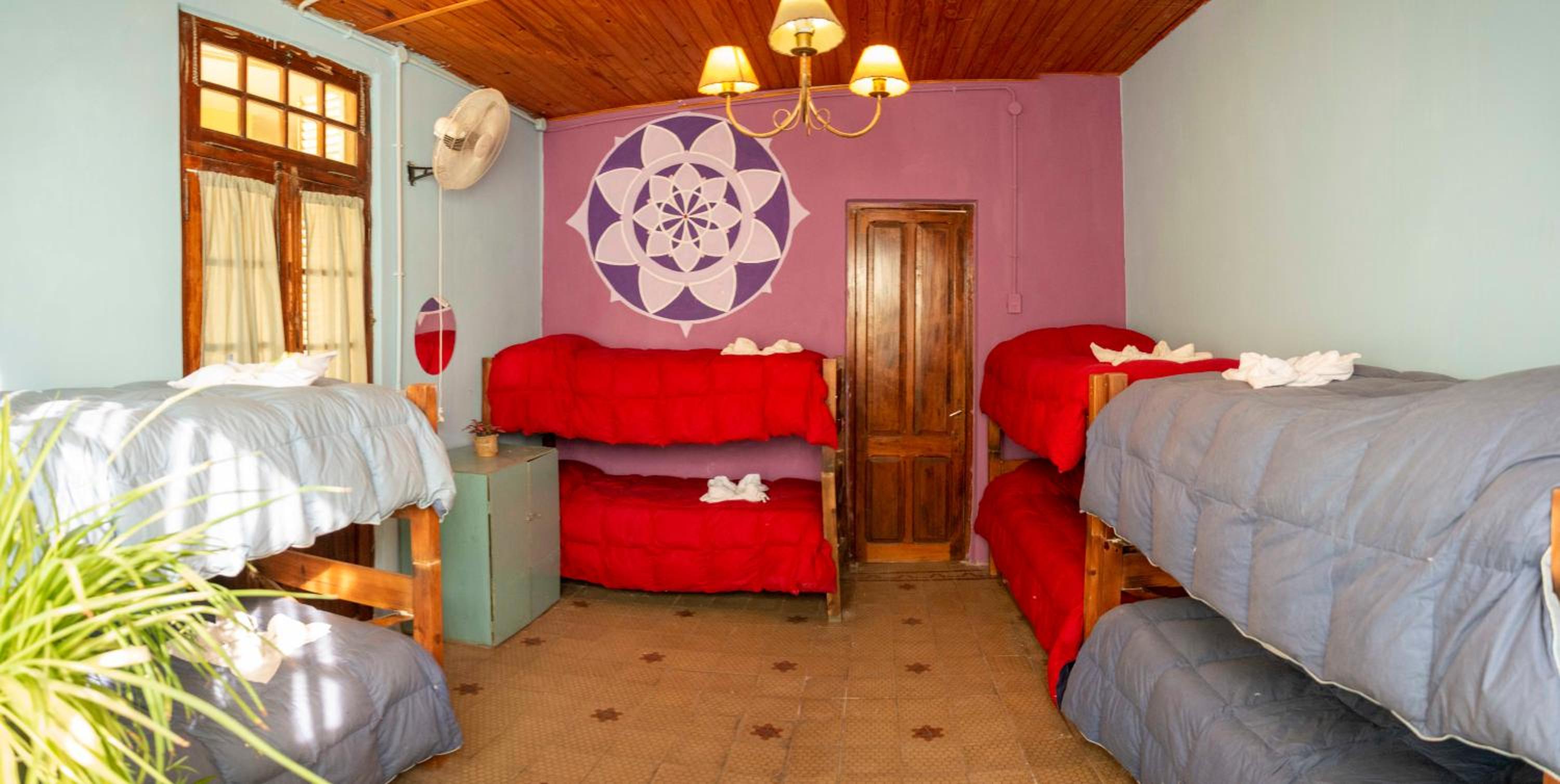 Bed in 6-Bed Female Dormitory Room photo 1