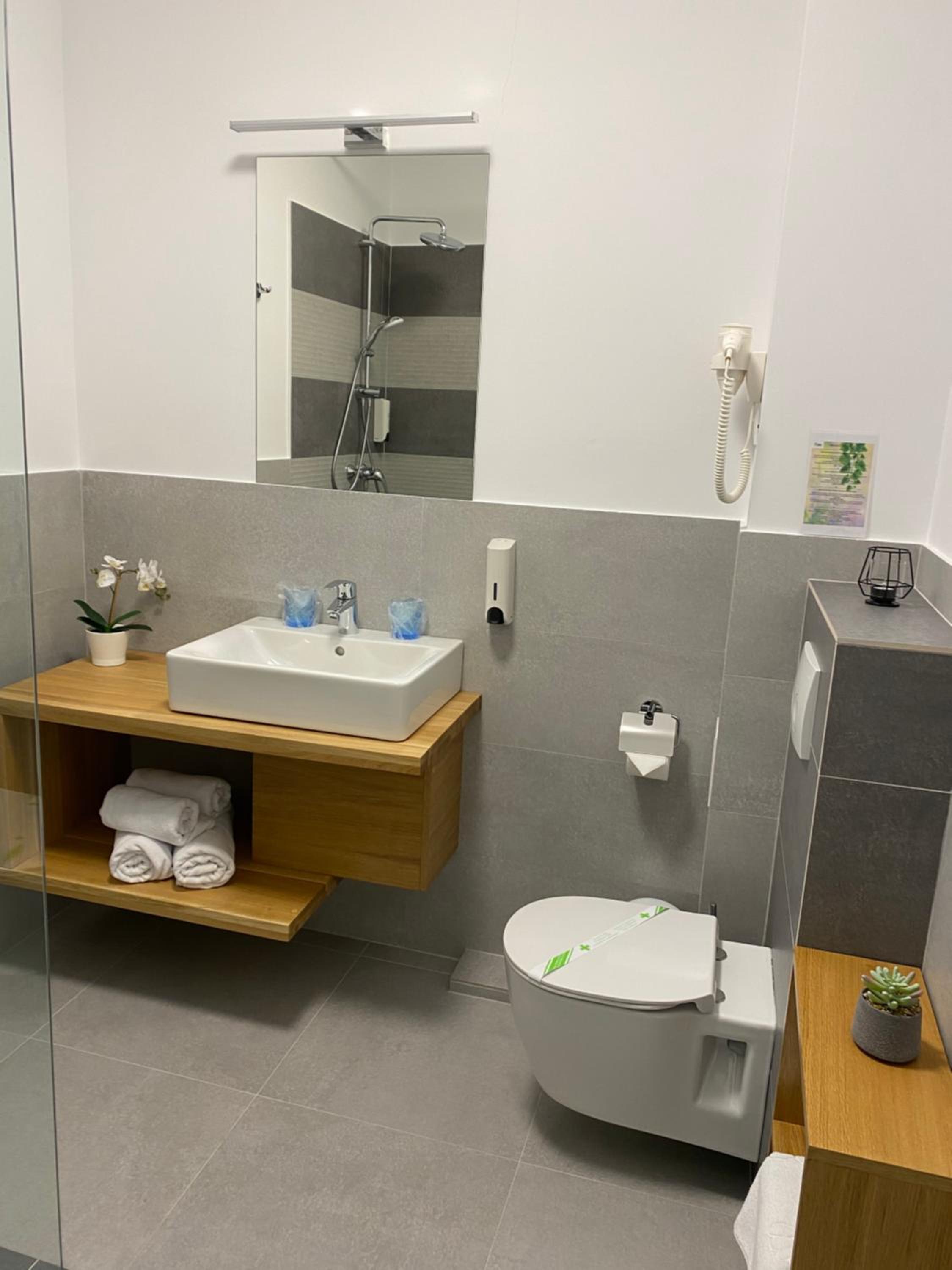Deluxe Double or Twin Room - Photo 15