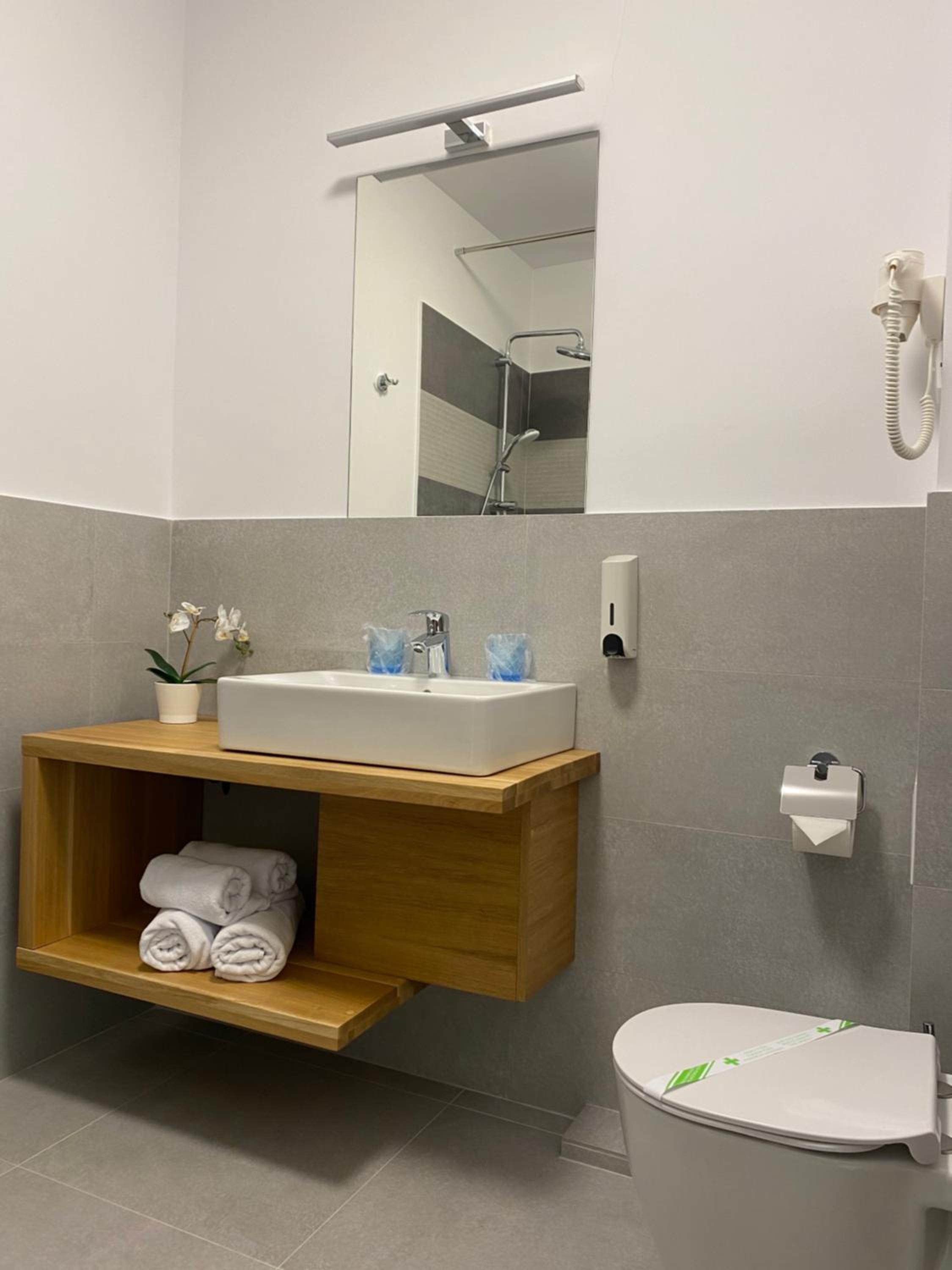 Deluxe Double or Twin Room - Photo 16