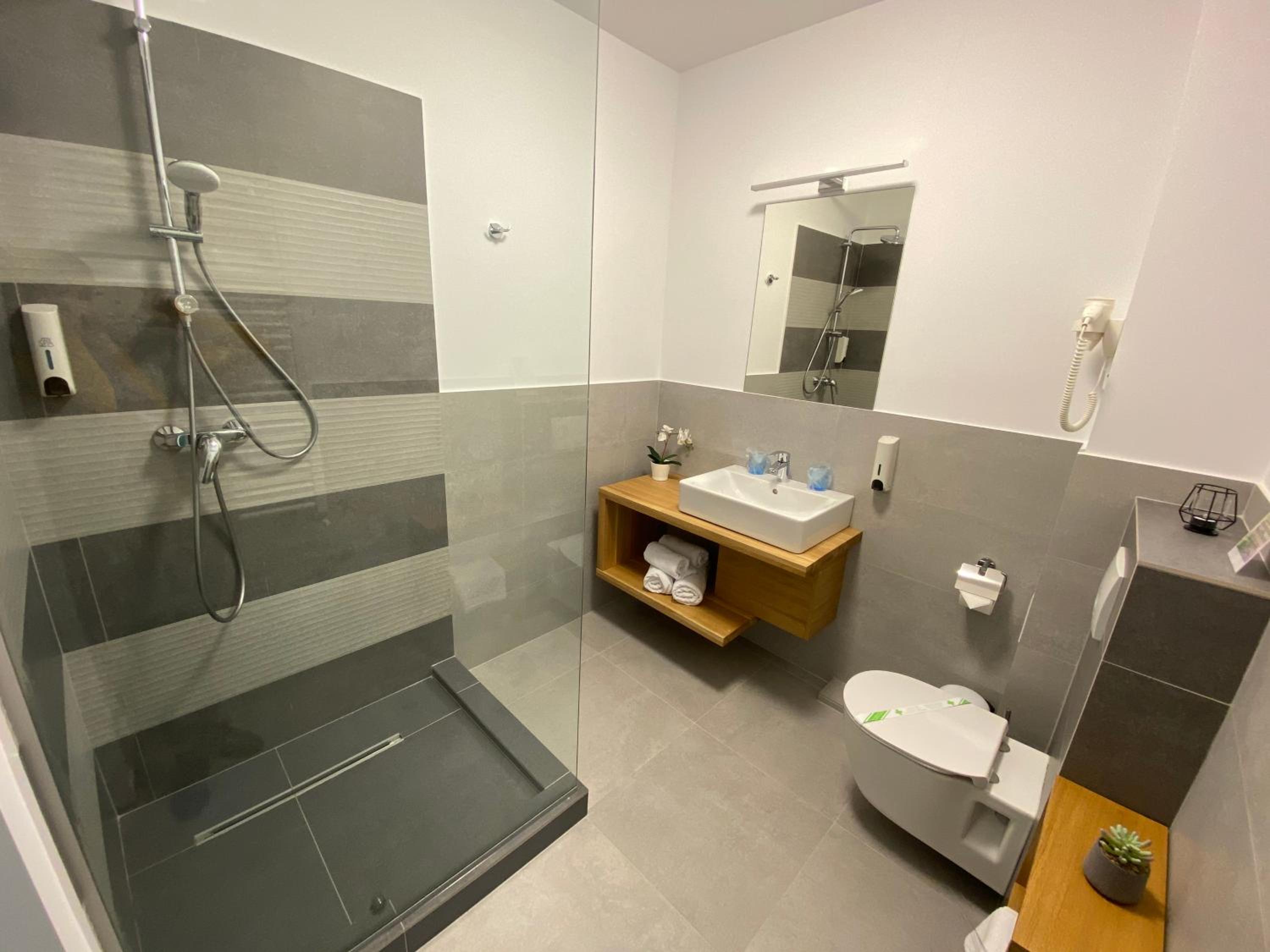 Deluxe Double or Twin Room - Photo 17