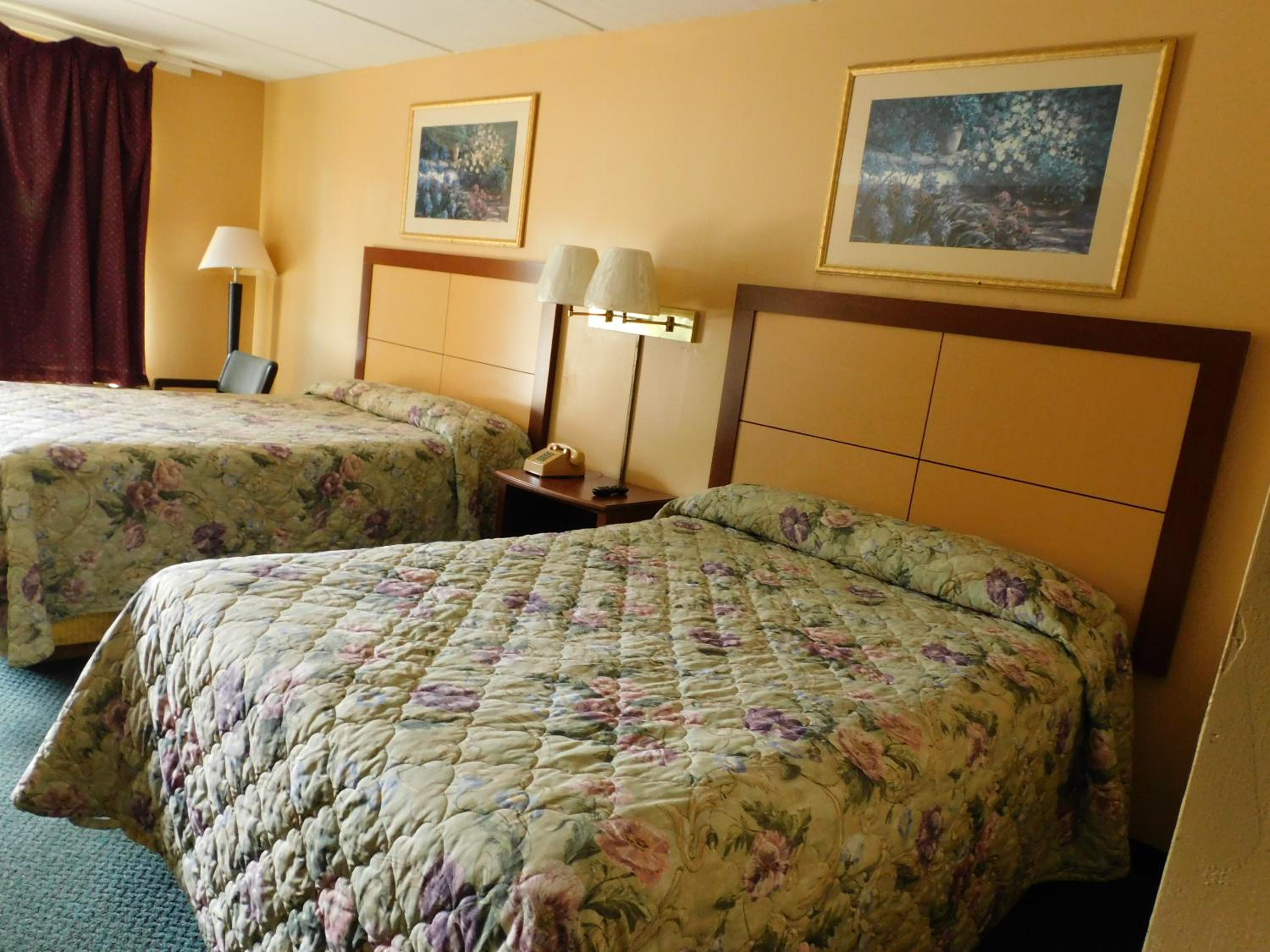 Budget Double Room photo 1