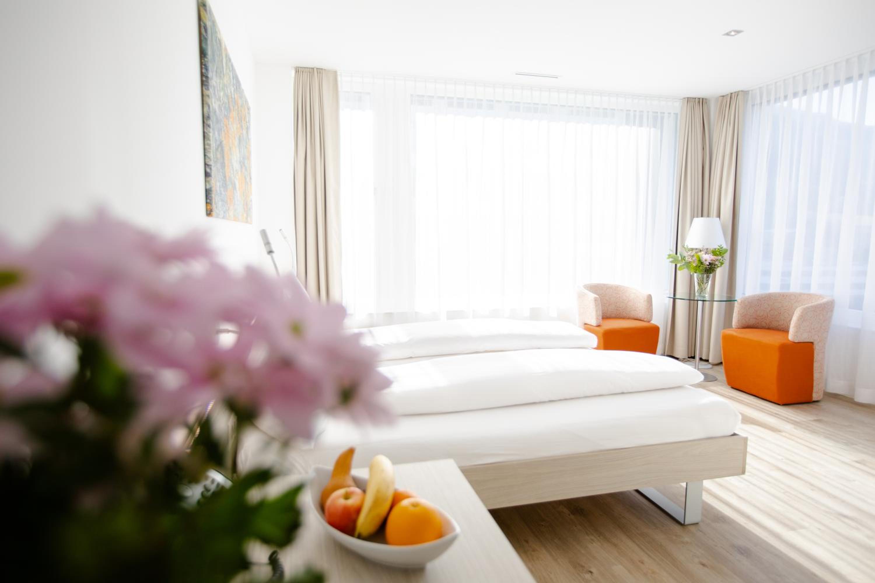 Standard Twin Room with Mountain View