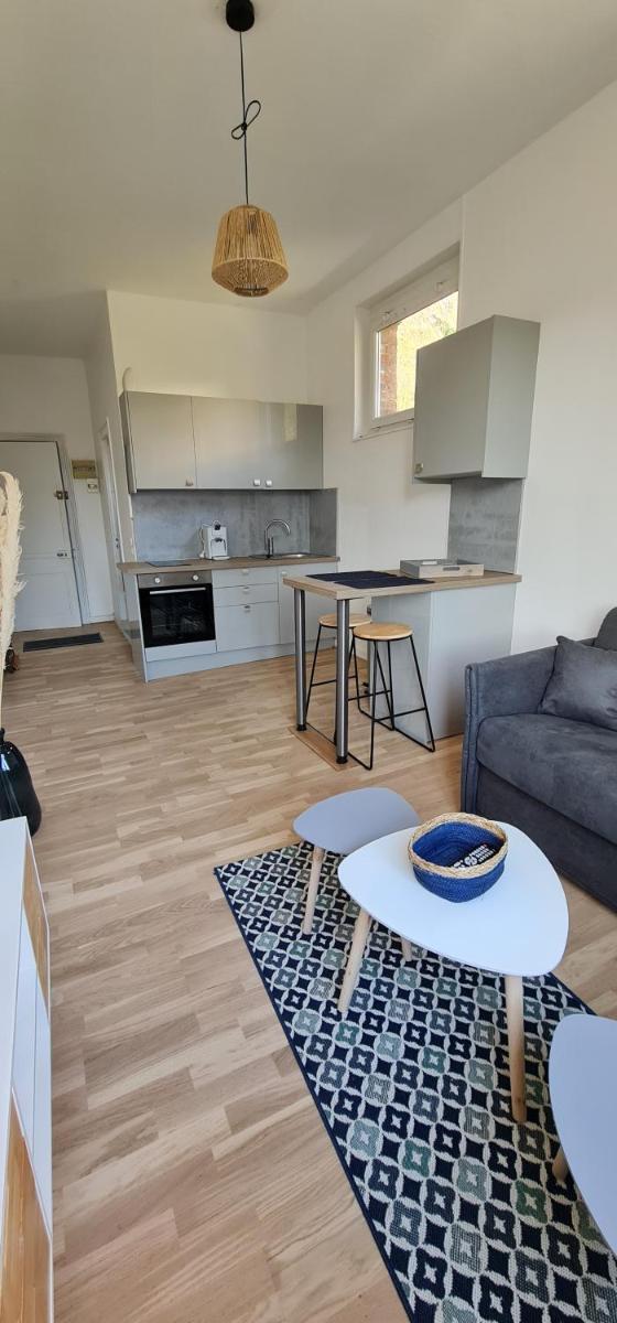 Studio Apartment photo 3