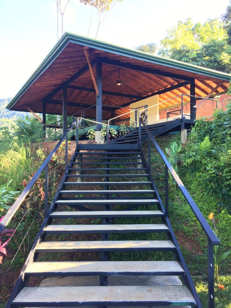 Deluxe Villa photo 2