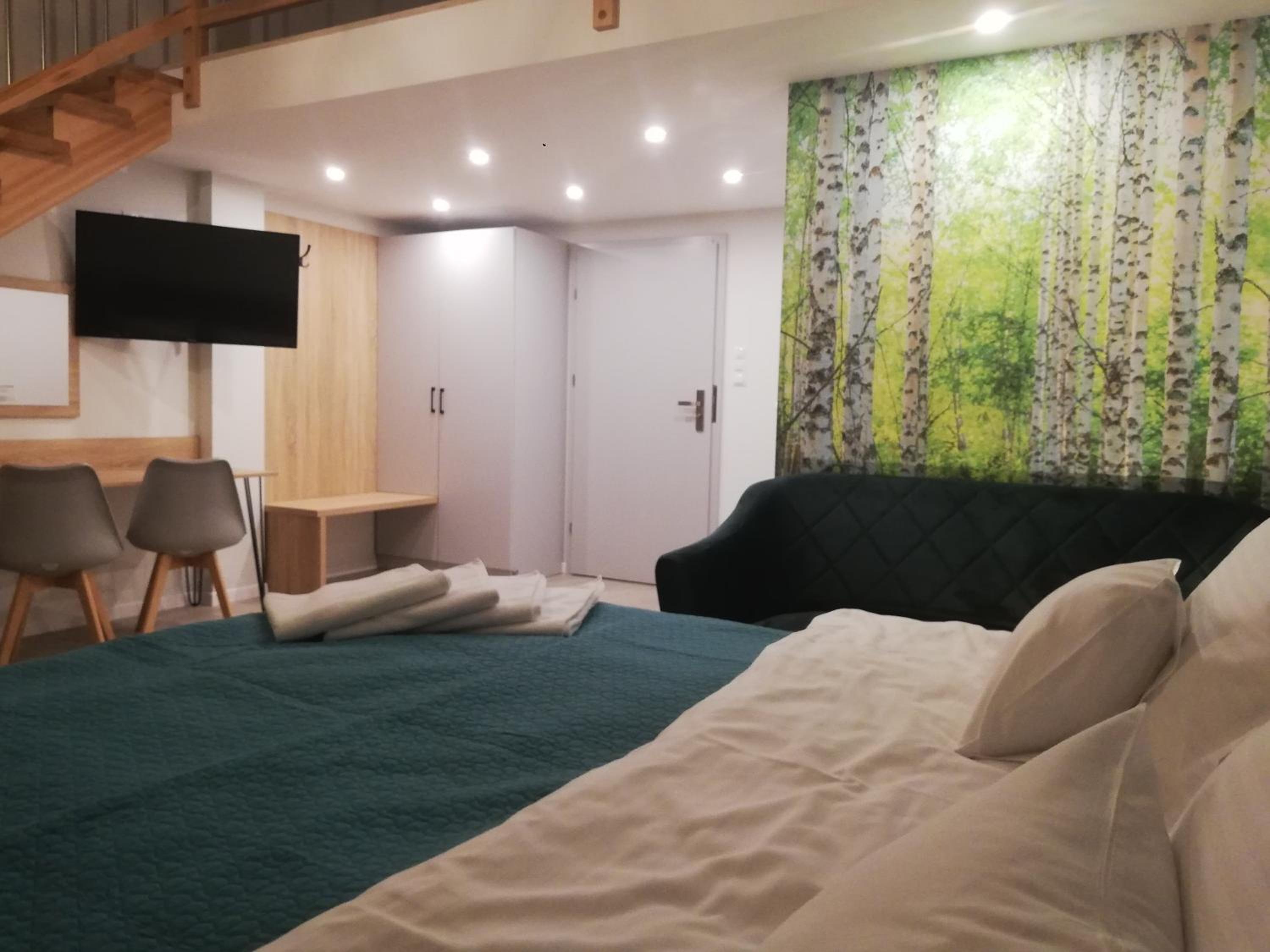 Large Double Room photo 2