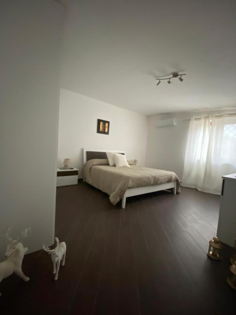 Studio with Terrace - Photo 6