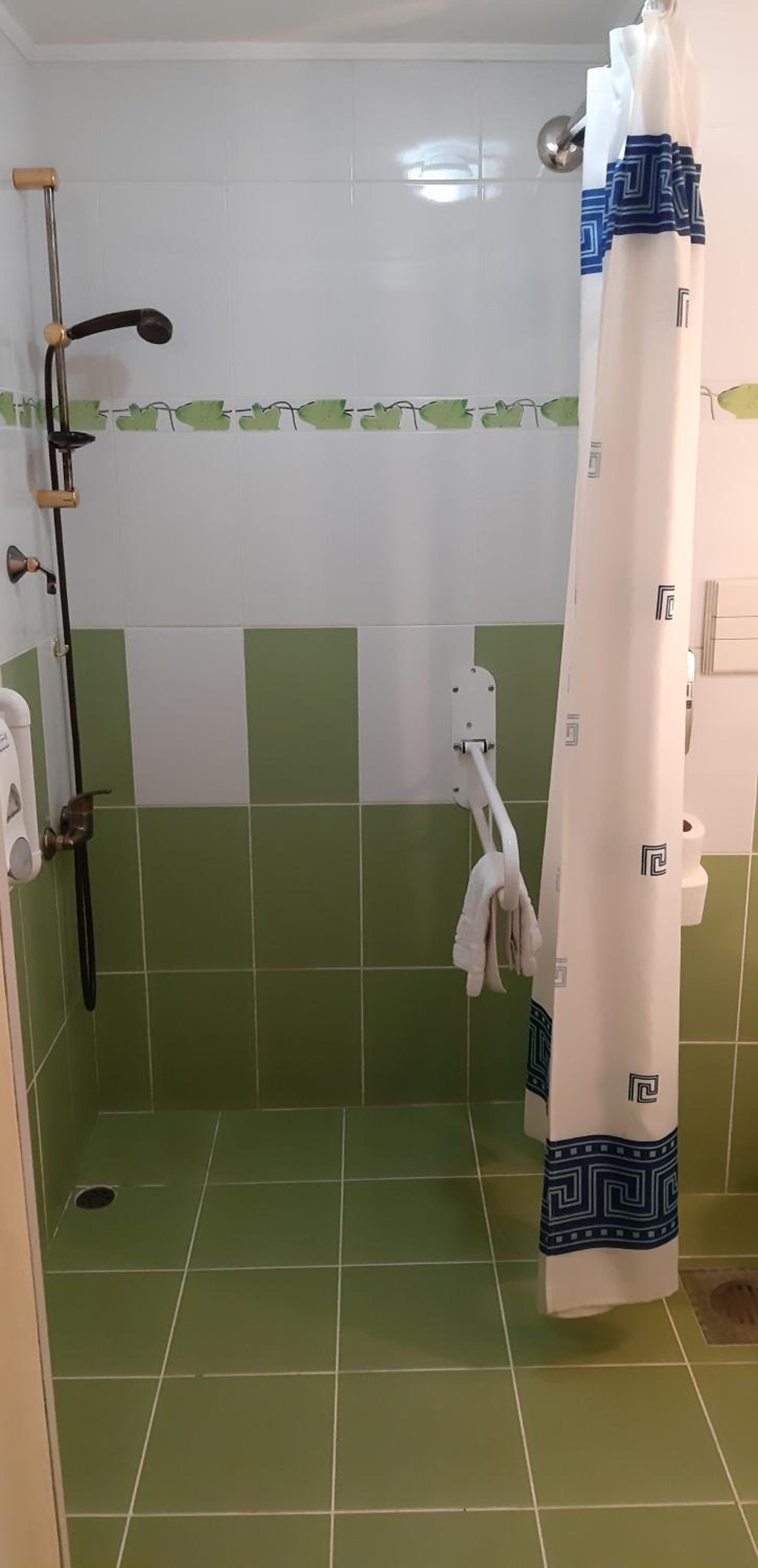 King Room with Roll-In Shower - Disability Access