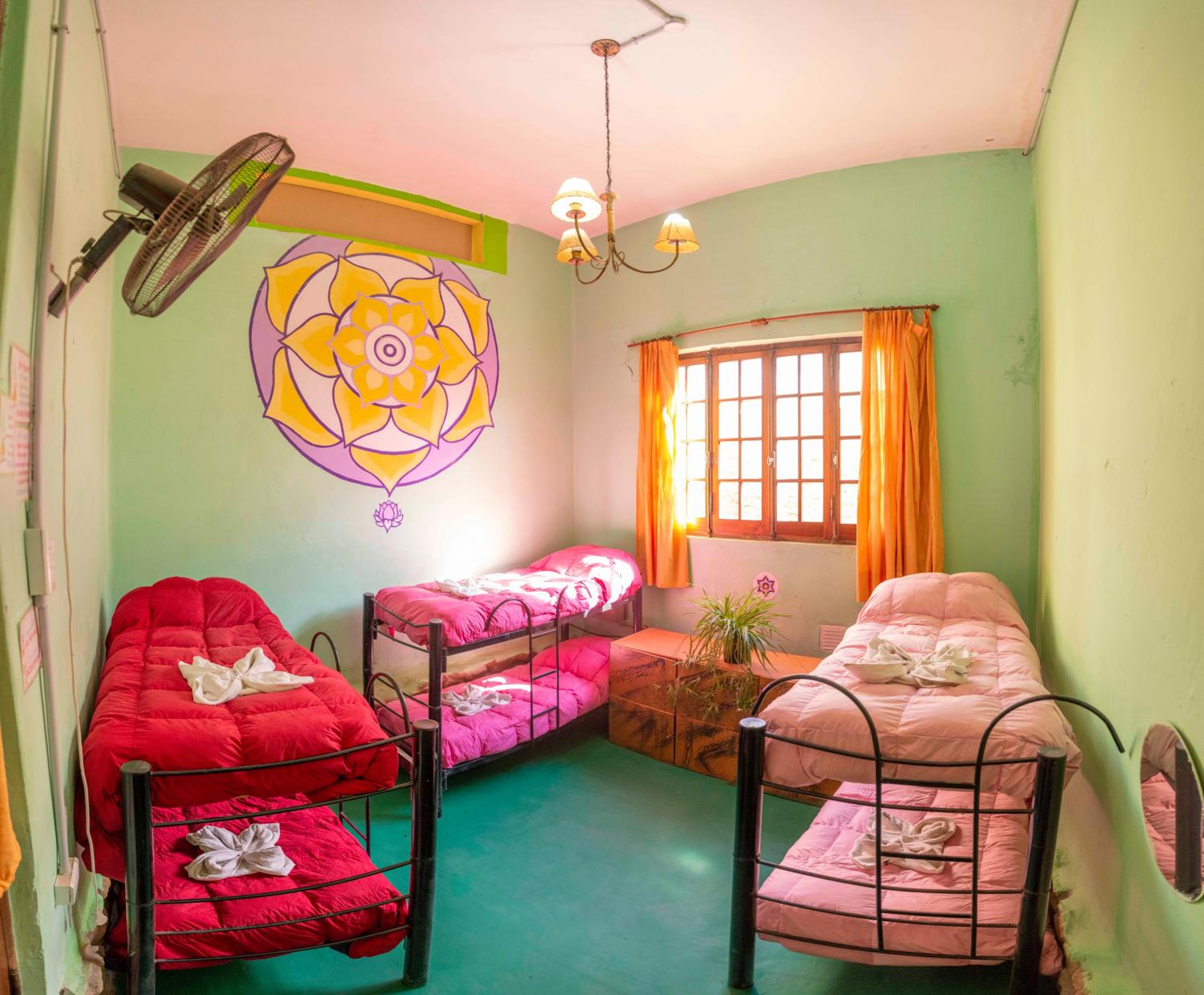 Bed in 6-Bed Female Dormitory Room photo 3