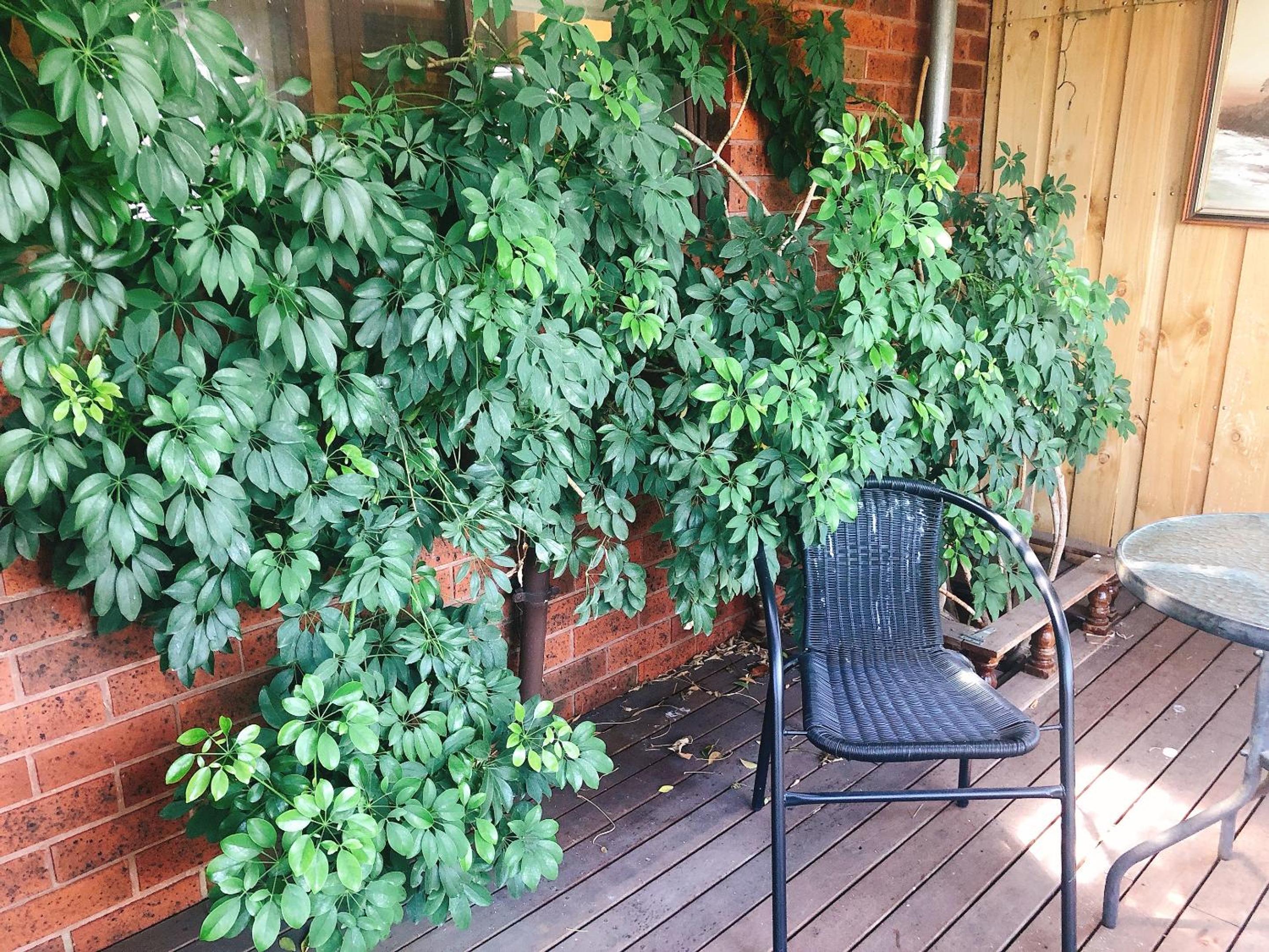 Apartment - Photo 25