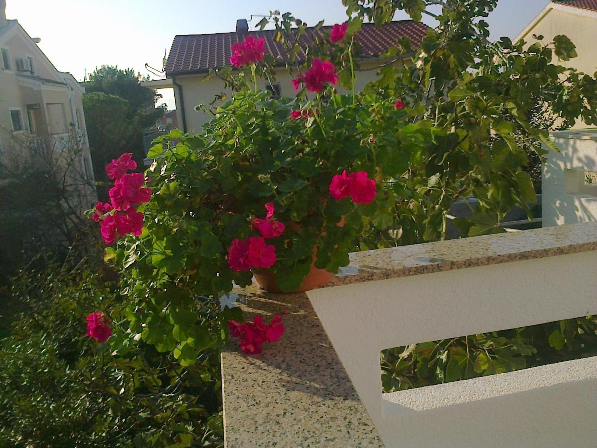 One-Bedroom Apartment with Terrace - Photo 2