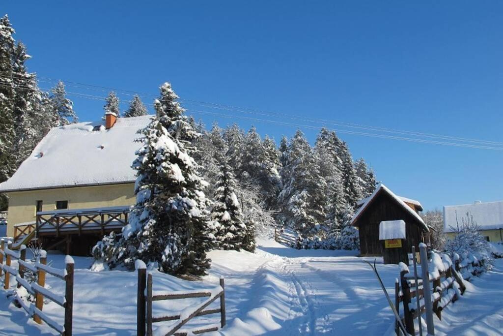 Vacation Home photo 2