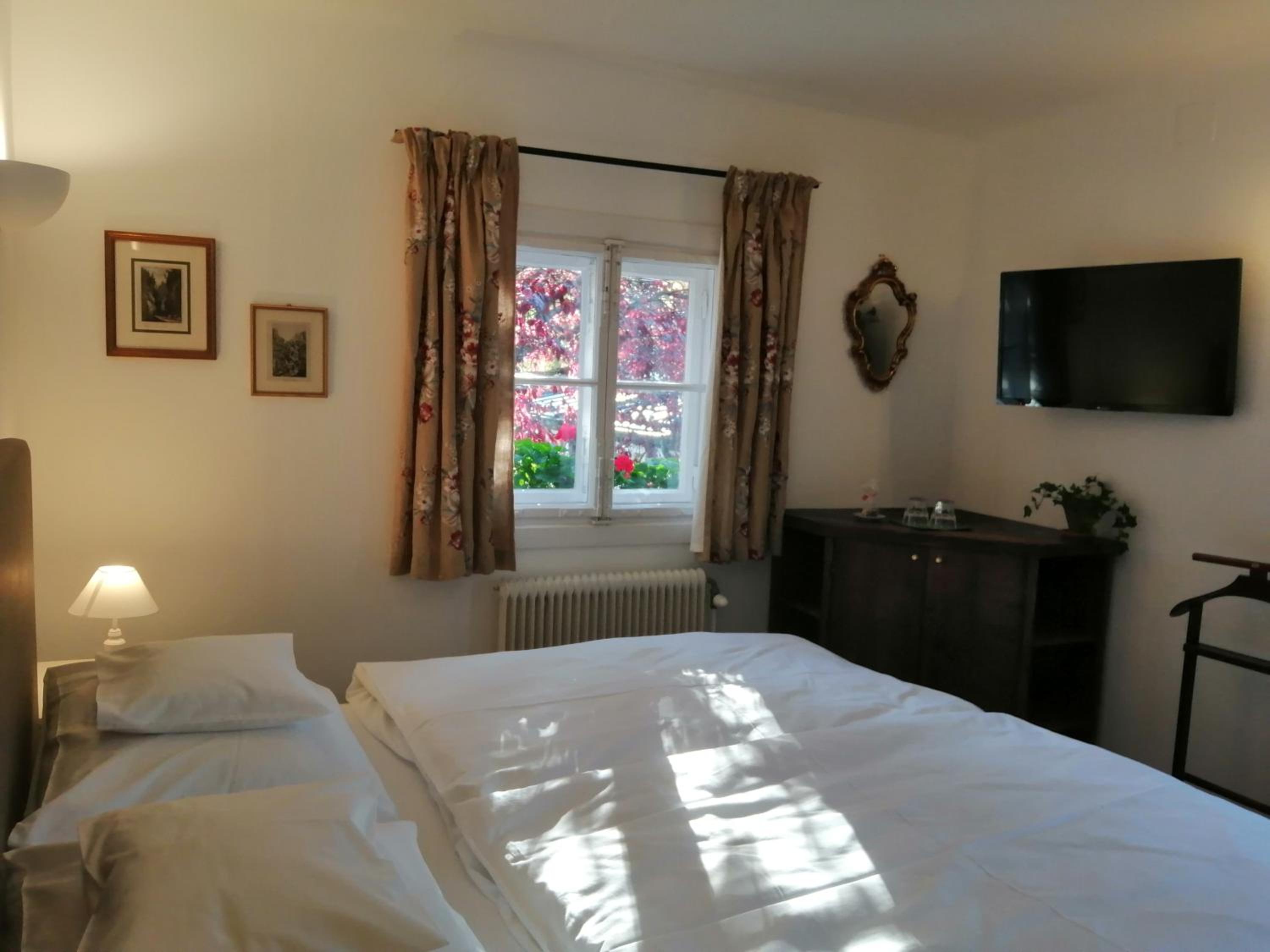 Double Room with Mountain View photo 2