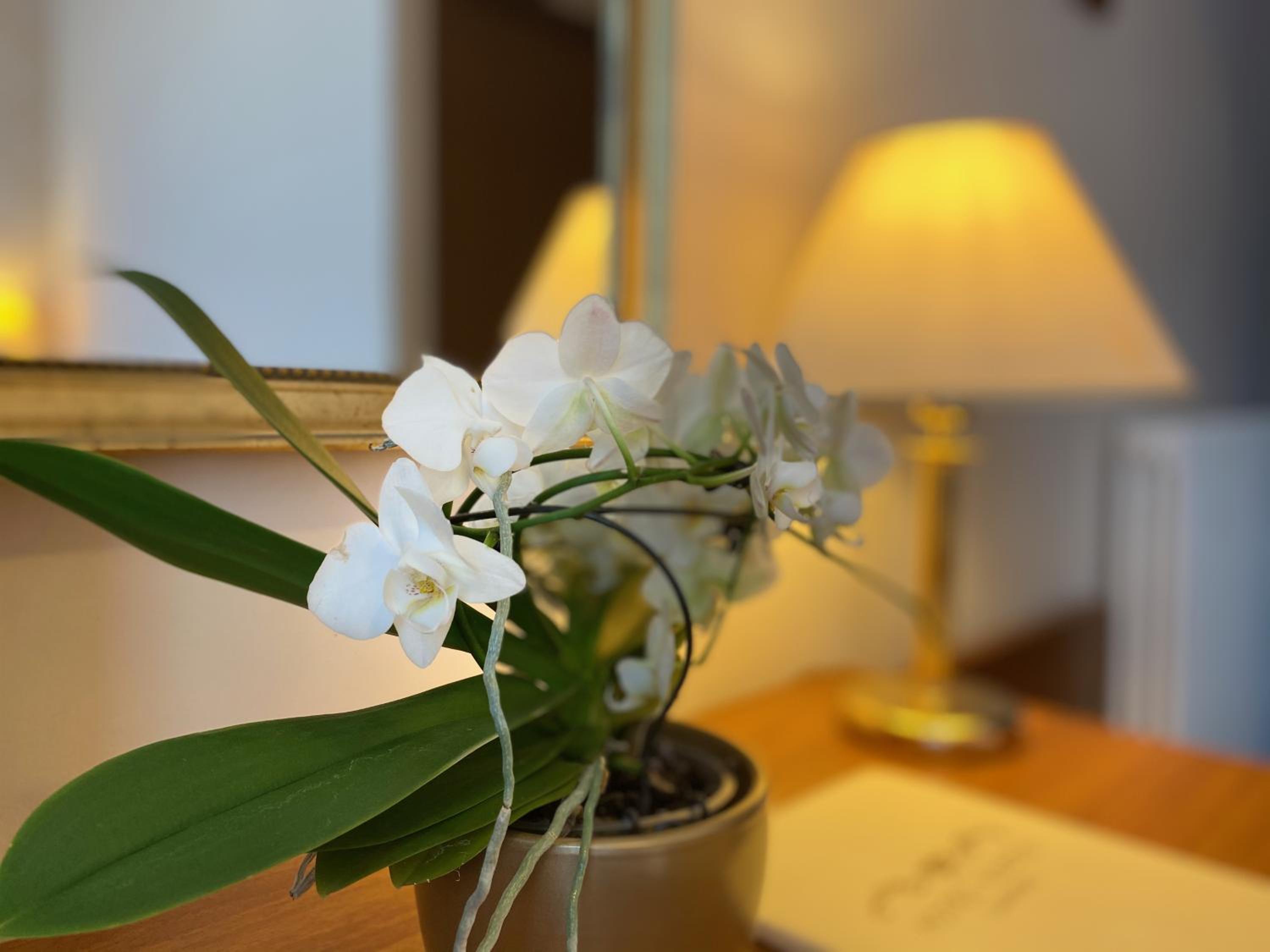 Standard Double Room - Photo 6