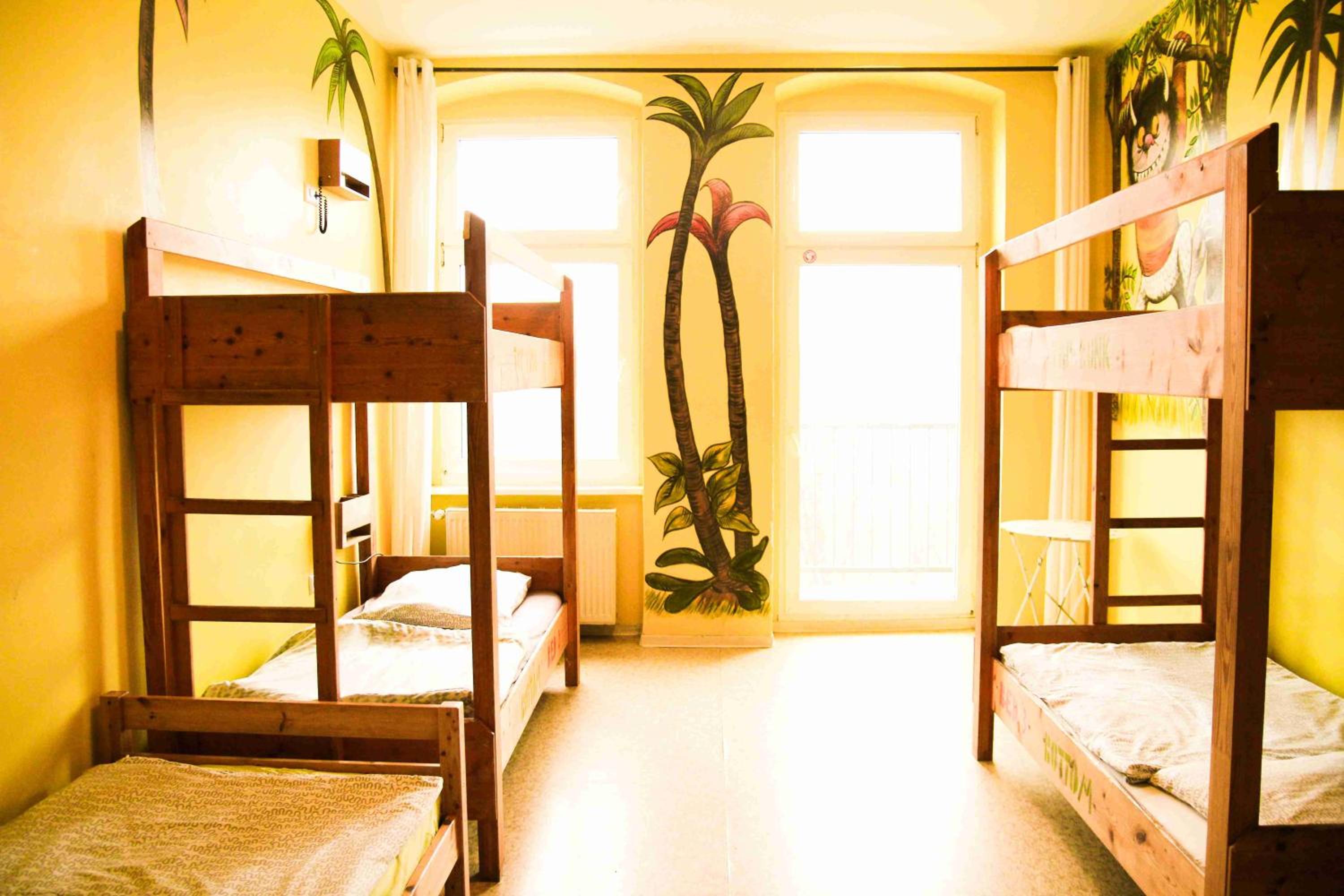 Bed in 5-Bed Mixed Dormitory Room photo 1