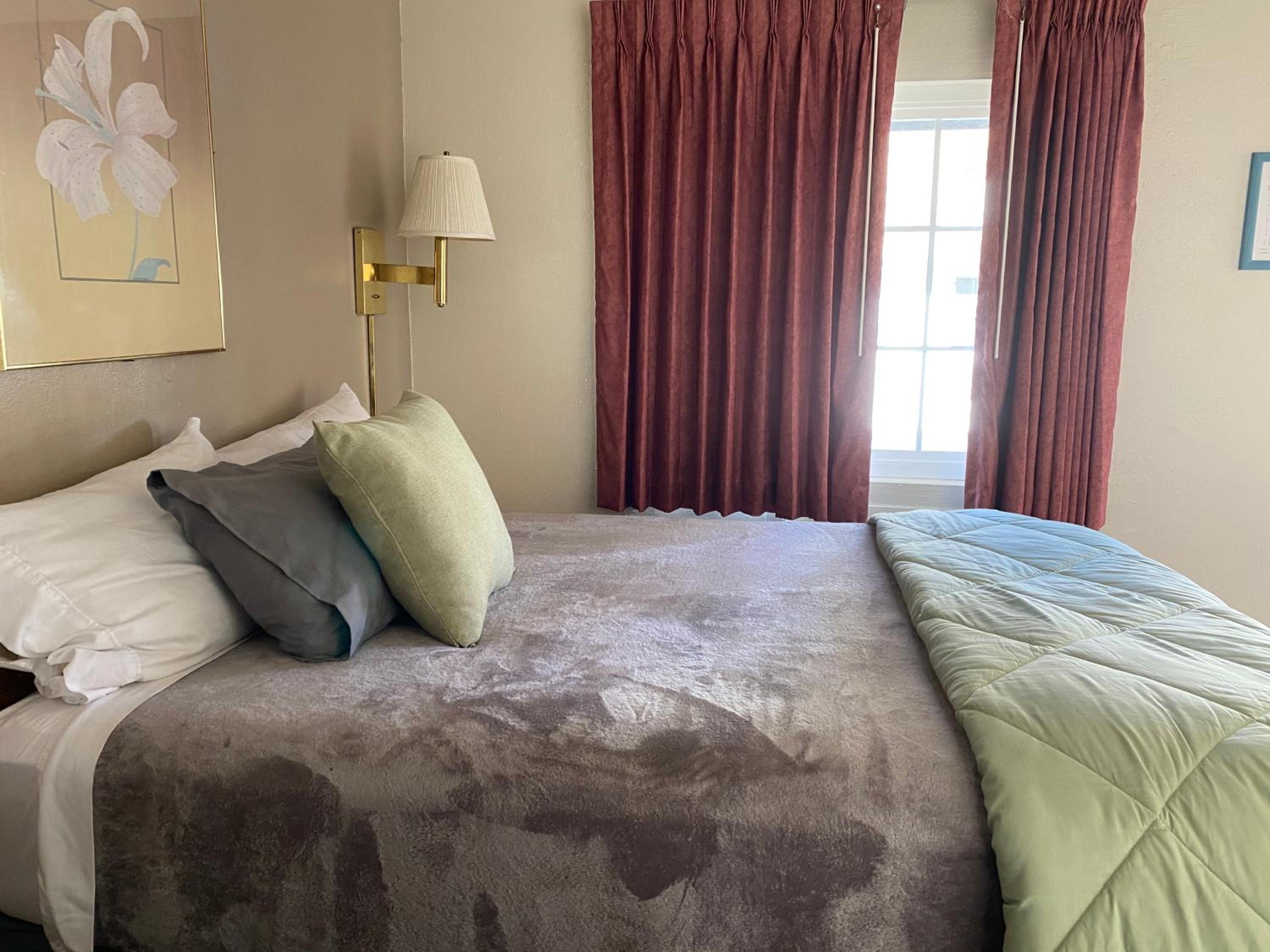 Deluxe Double Room with Shower - Photo 3