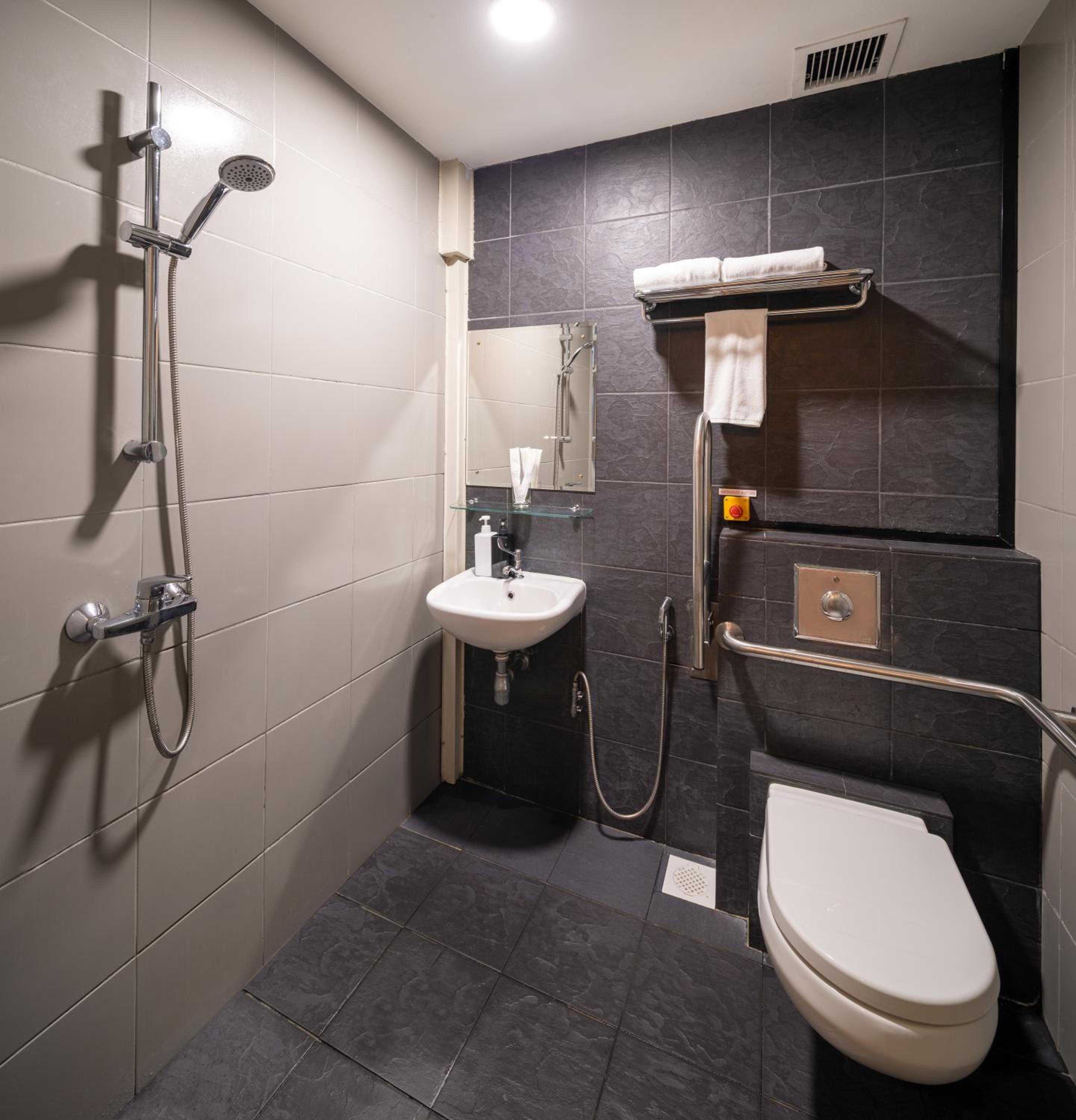 Deluxe Double or Twin Room photo 3