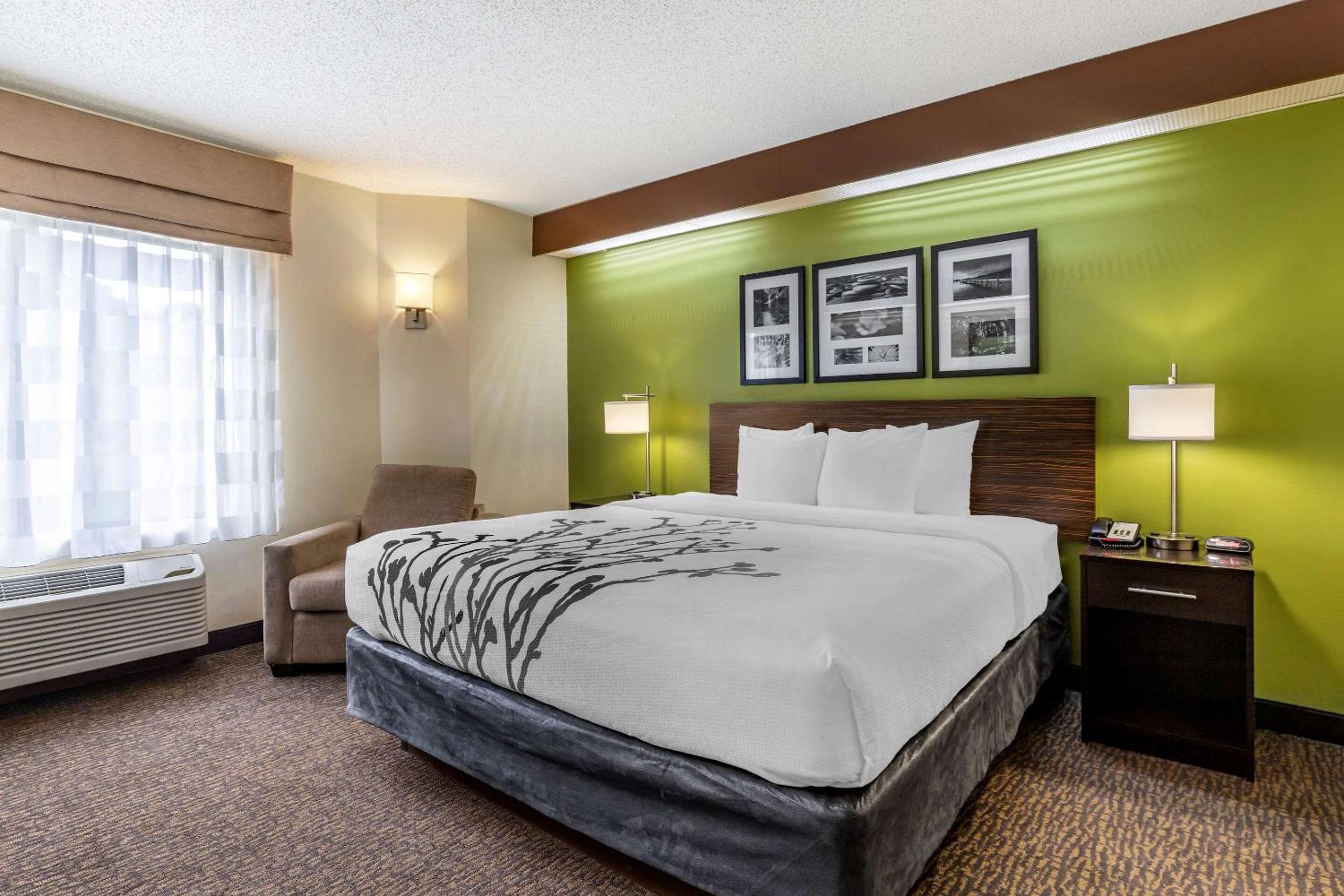 King Room - Non-Smoking - Photo 2