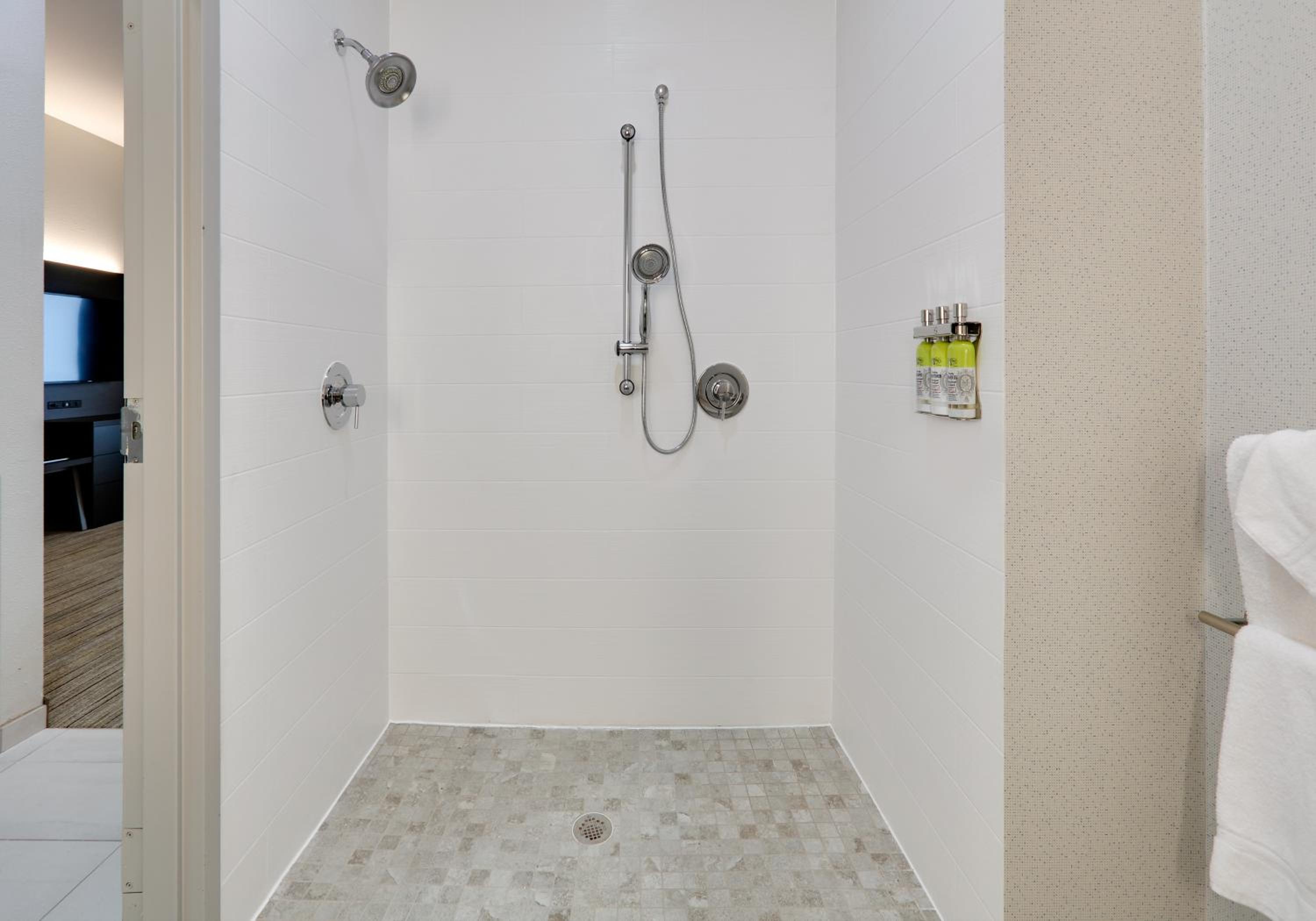 Deluxe Suite - Mobility Access Roll in Shower/Non-Smoking - Photo 4