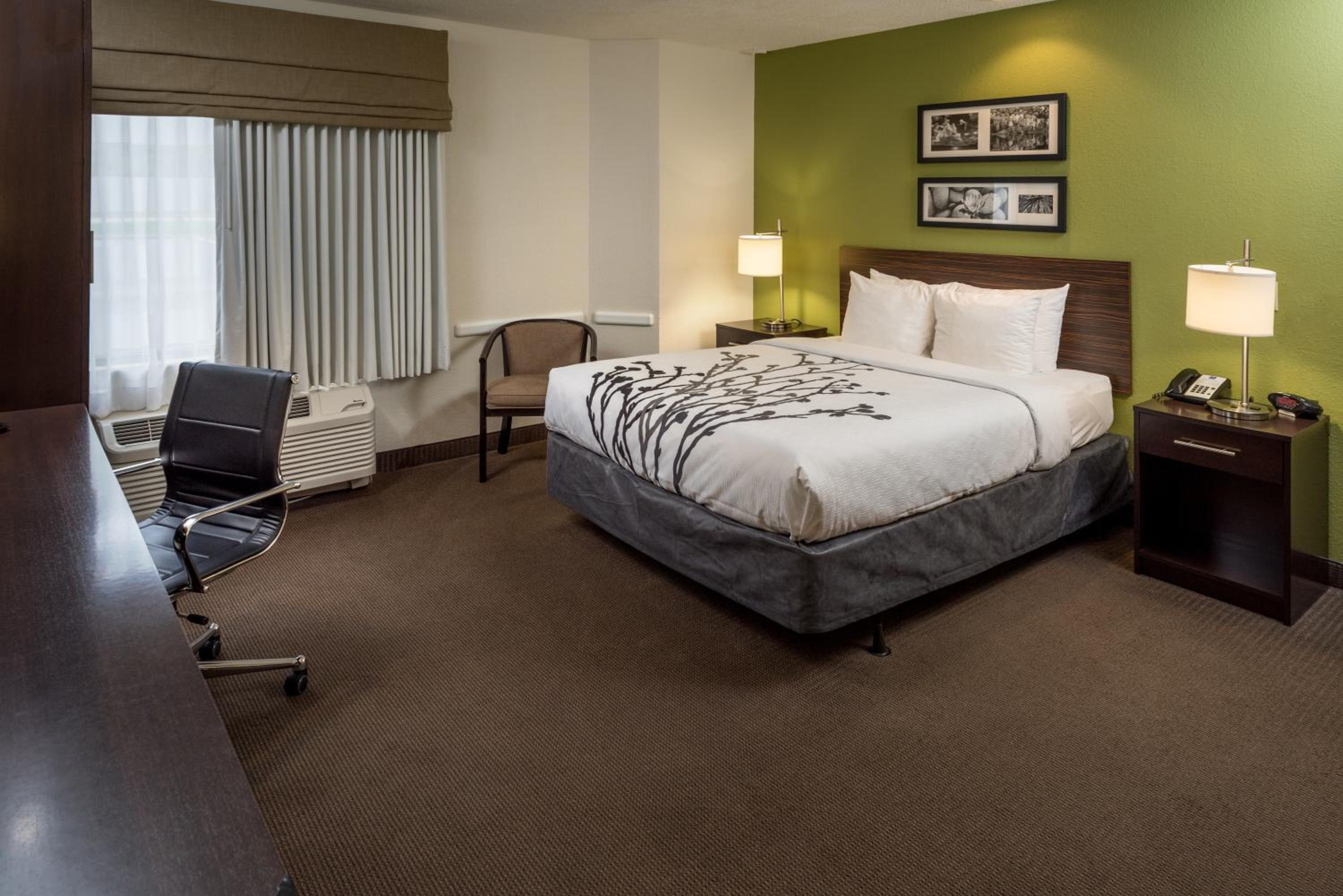 Queen Room with Roll-In Shower - Accessible/Non-Smoking - Photo 1