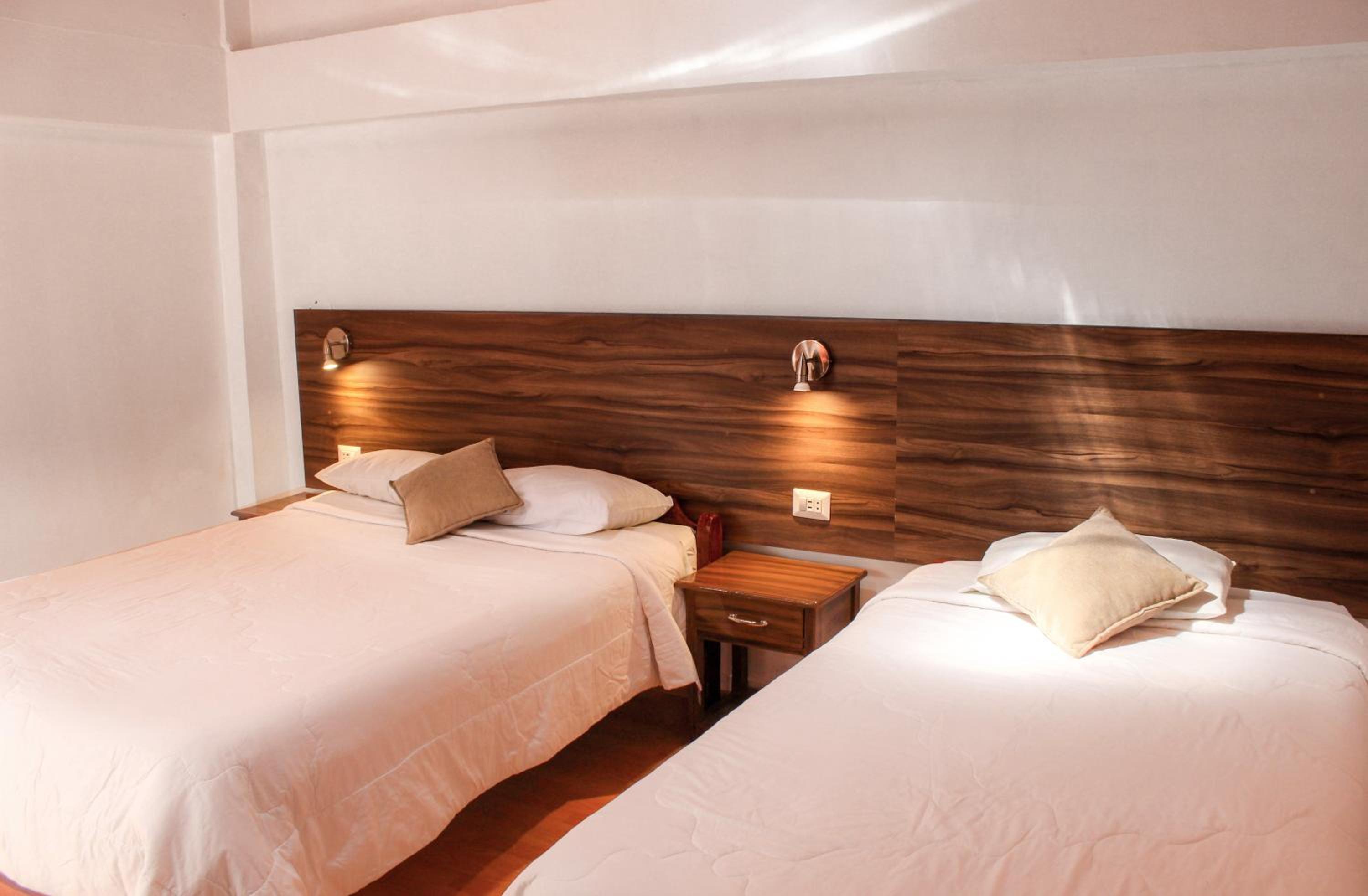 Twin Room photo 3