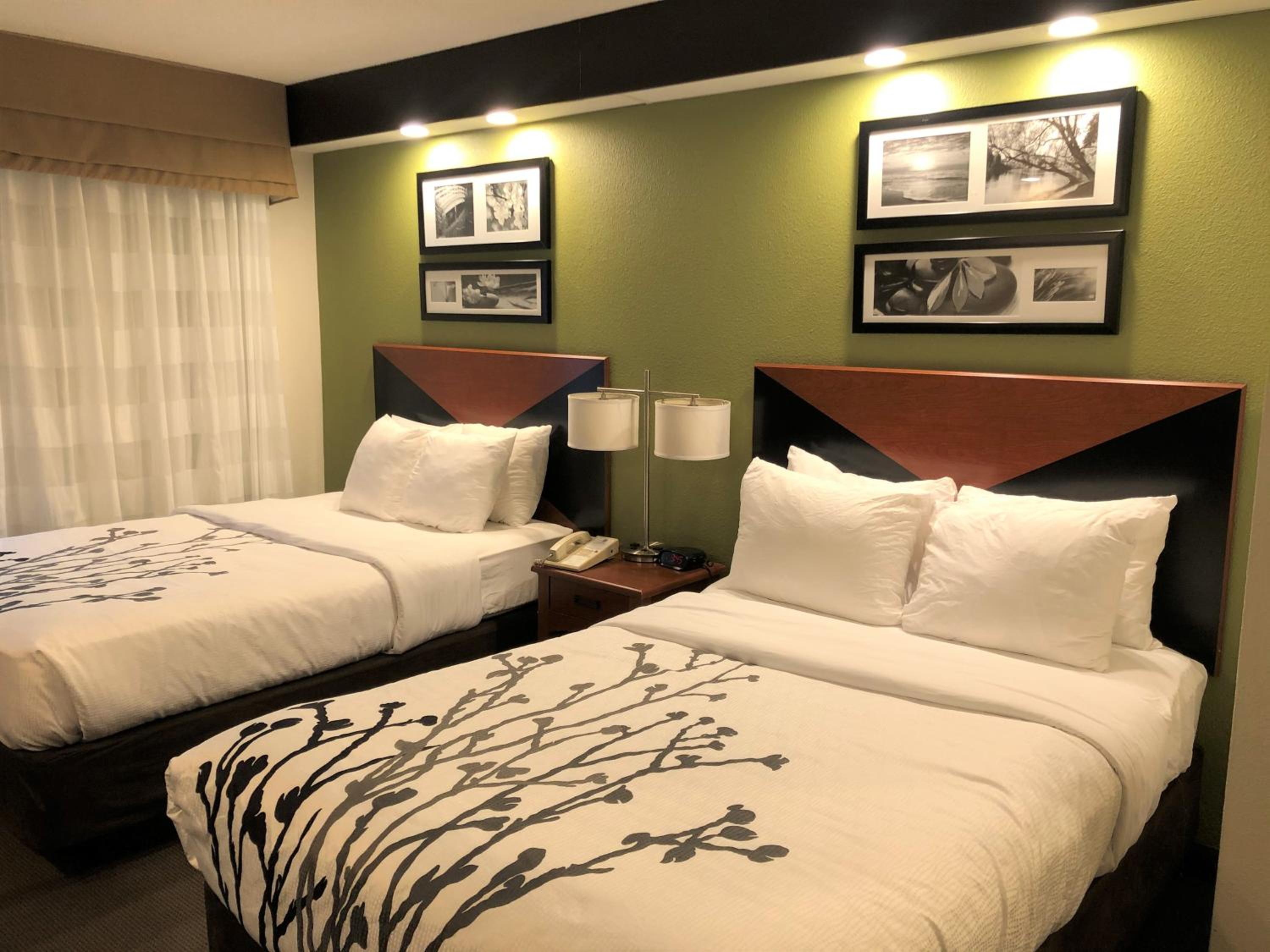 Double Room - Non-Smoking  - Photo 2