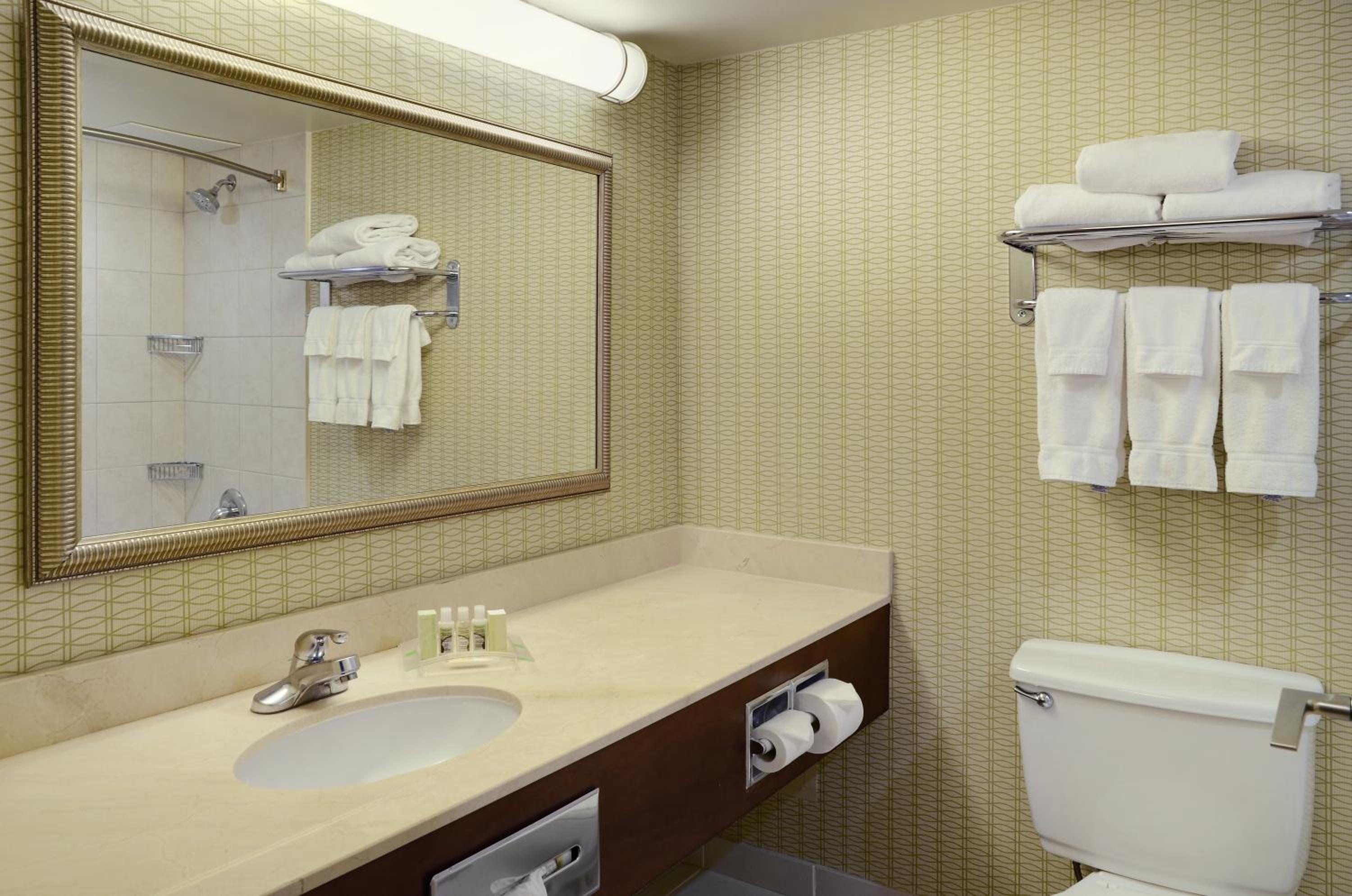 bathroom with a sink, toilet, and towel rack