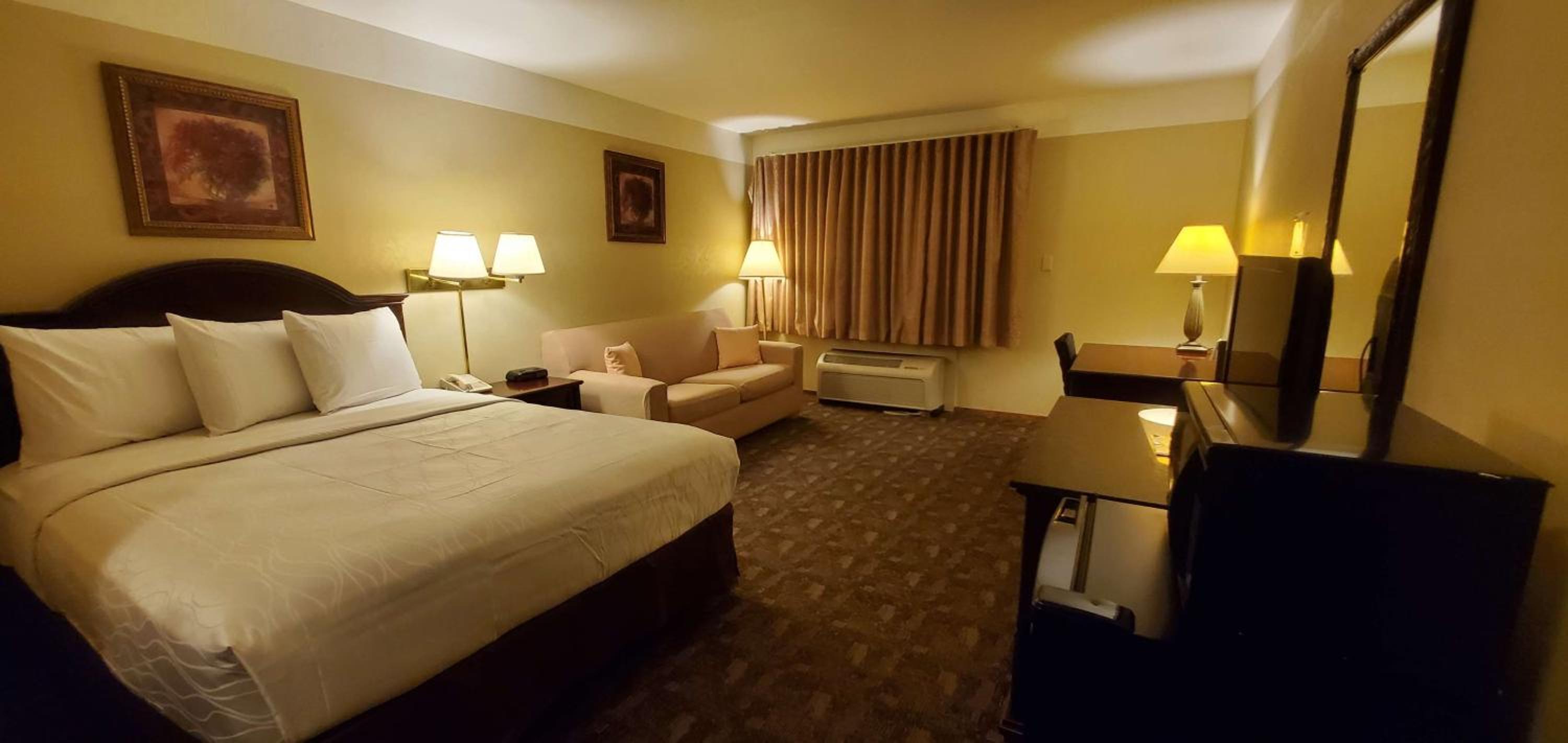 1 King Bed Non-Smoking