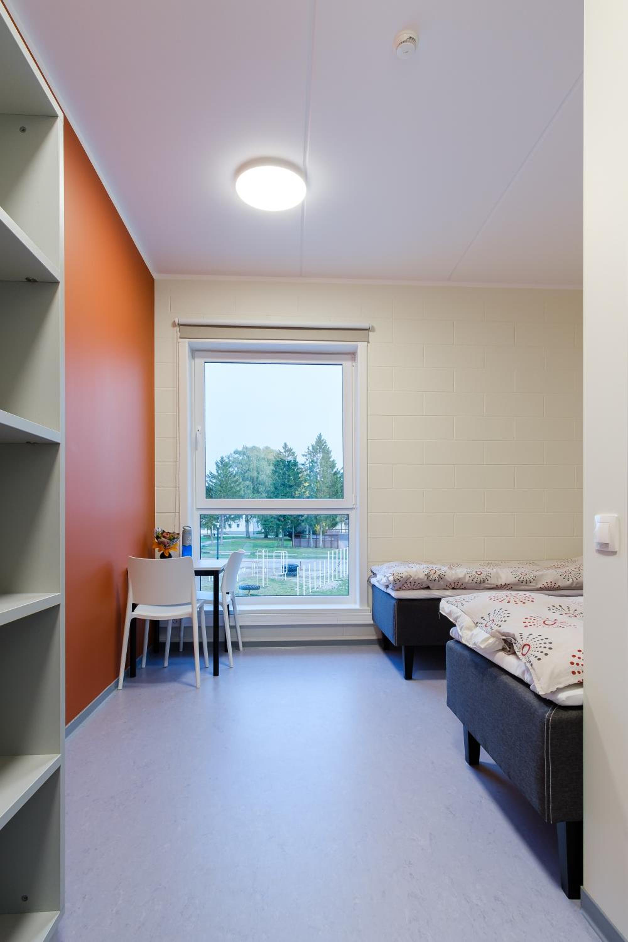 Standard Twin Room photo 3