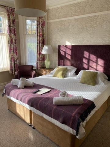 Double Room - Dog Friendly photo 2