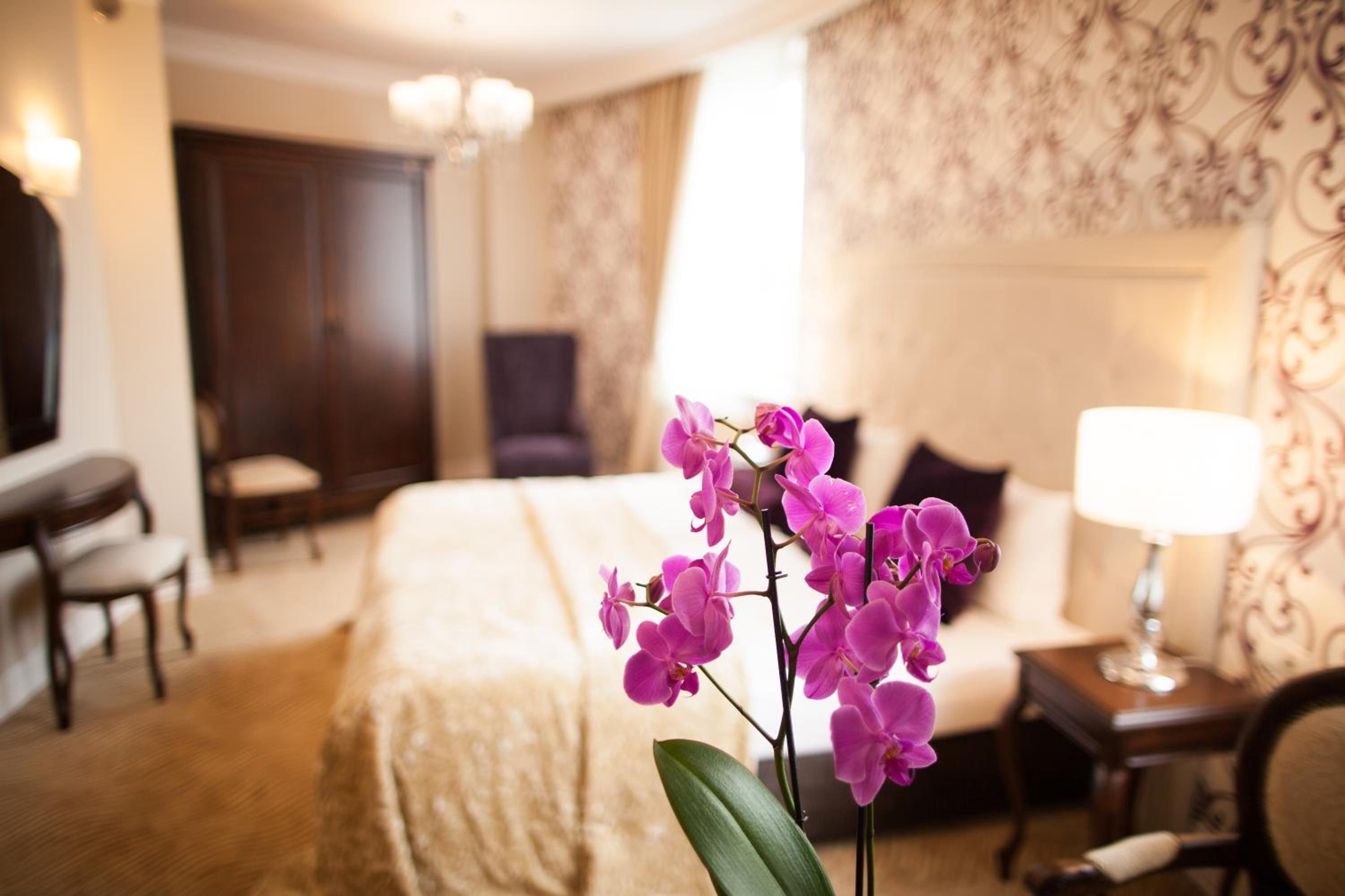 Superior Double Room - Photo 3